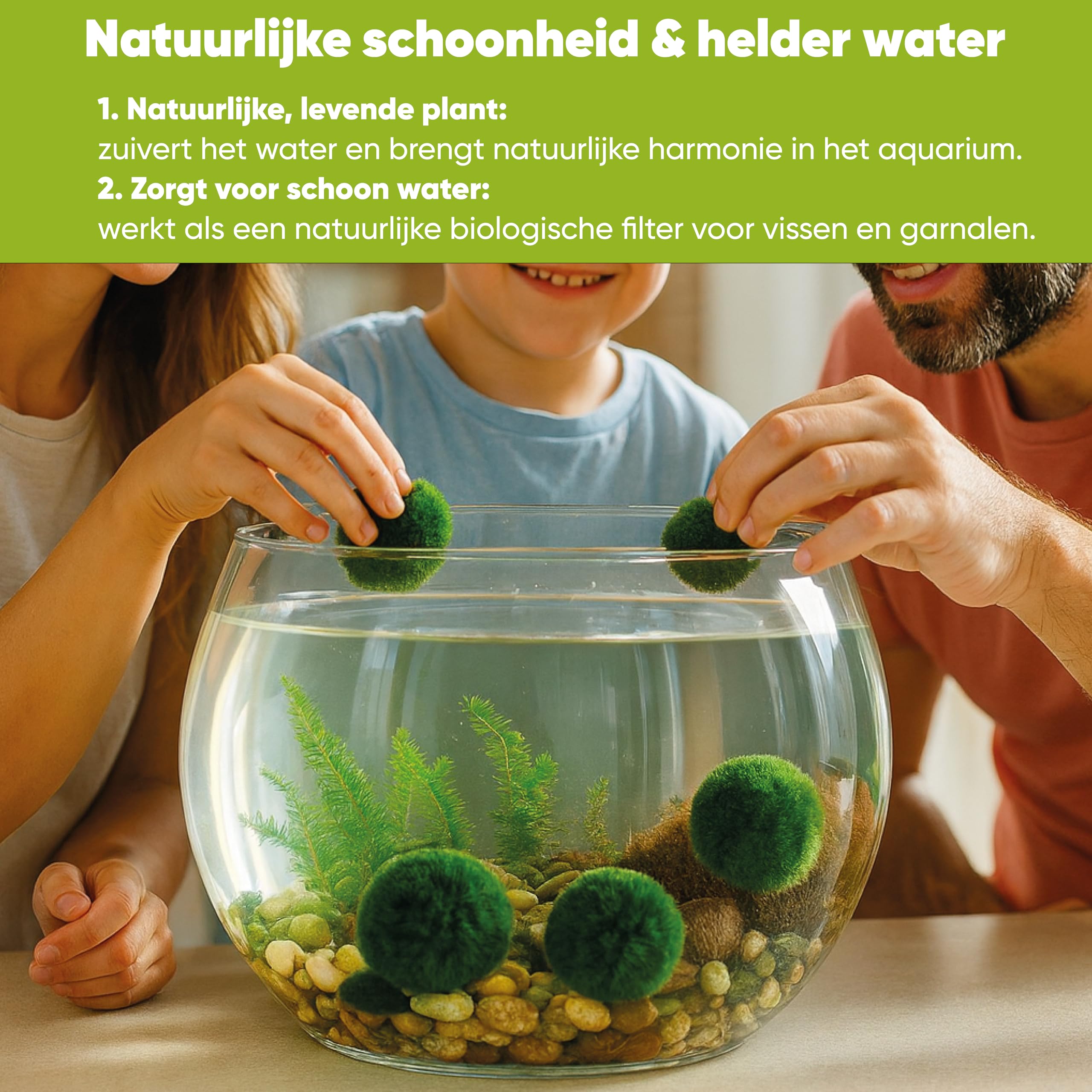 AquaBreedingSkill – Grand Format 4–5 cm – Lot de 3 Marimo Moss Balls – Plante Aquarium Vivante Naturelle | Filtre Biologique | Décoration Écologique | Entretien Facile | Idéal pour Nano Aquarium