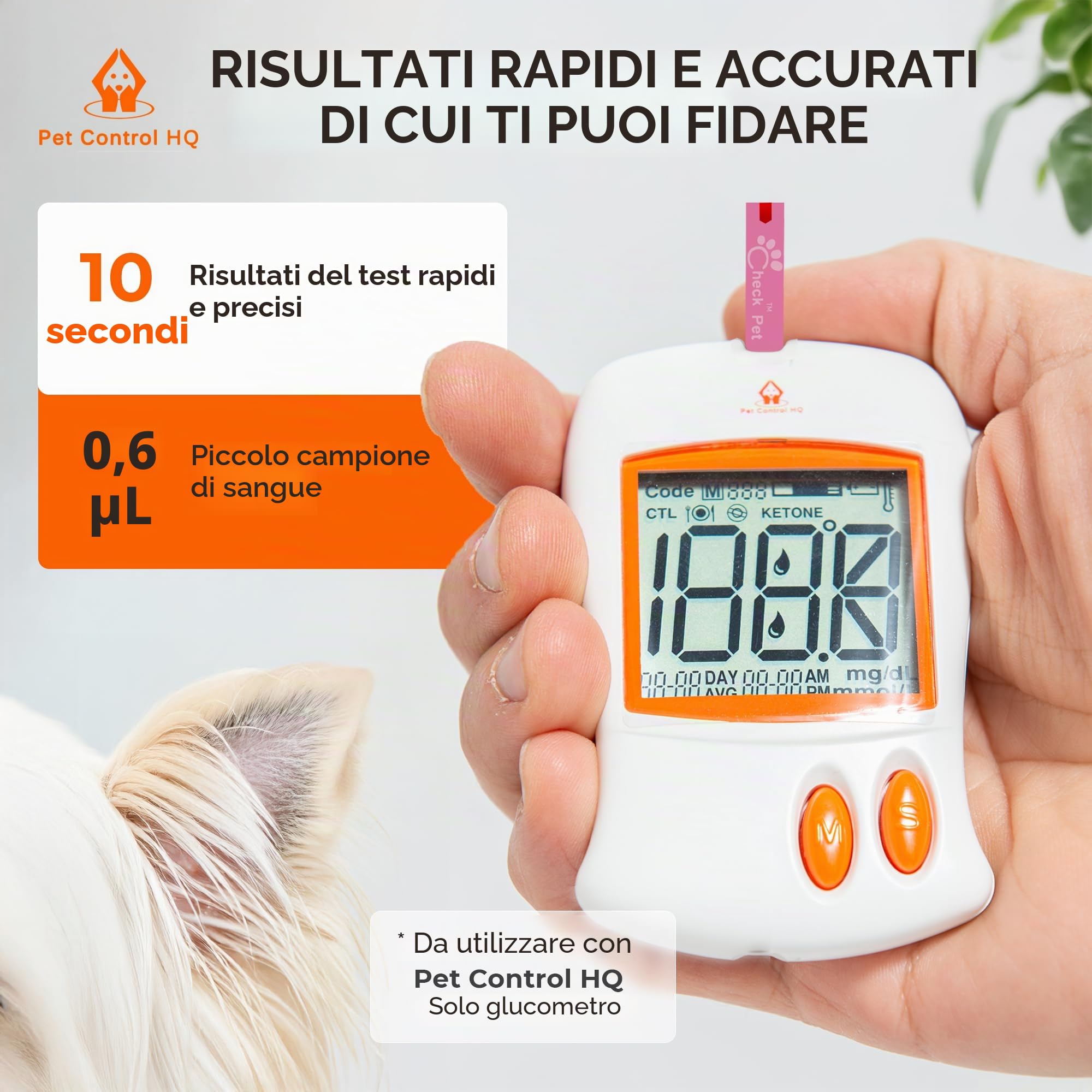 Pet Control HQ Strisce reattive per glicemia extra – calibrate per cani e gatti – test per diabete accurati in laboratorio con 2 chip di codice calibrati, 50 strisce reattive diabetiche, lancette