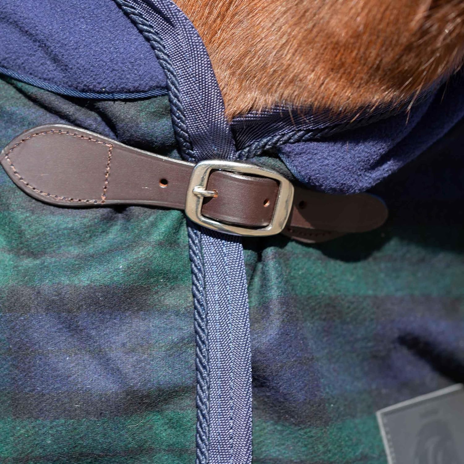 Equinavia Ulla Wool Cooler - Navy/Green - 74 in
