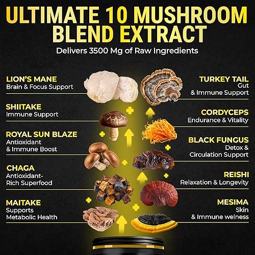 Miniatura 4 de Complejo orgánico de hongos con shilajit y aceite de coco, suplemento de hongo melena de león con ashwagandha y L-teanina, cápsulas de hongos