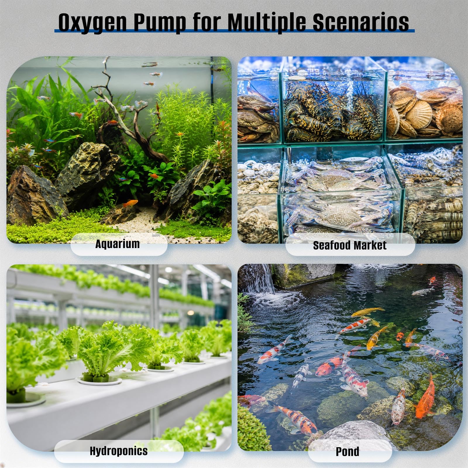 AquaMiracle Bomba de aire silenciosa para peceras 317/475GPH 0.025/0.03MPa 8/16W, bomba de aire de alta presión para acuario, bomba de aire comercial, aireador de estanque, burbujeador, bomba de aire