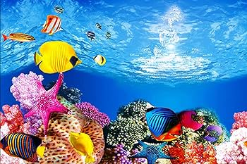 水面の風景のパネル写真　2枚セット Amazon.co.jp: 風景画 絵画 インテリア アートパネル 風水 絵
