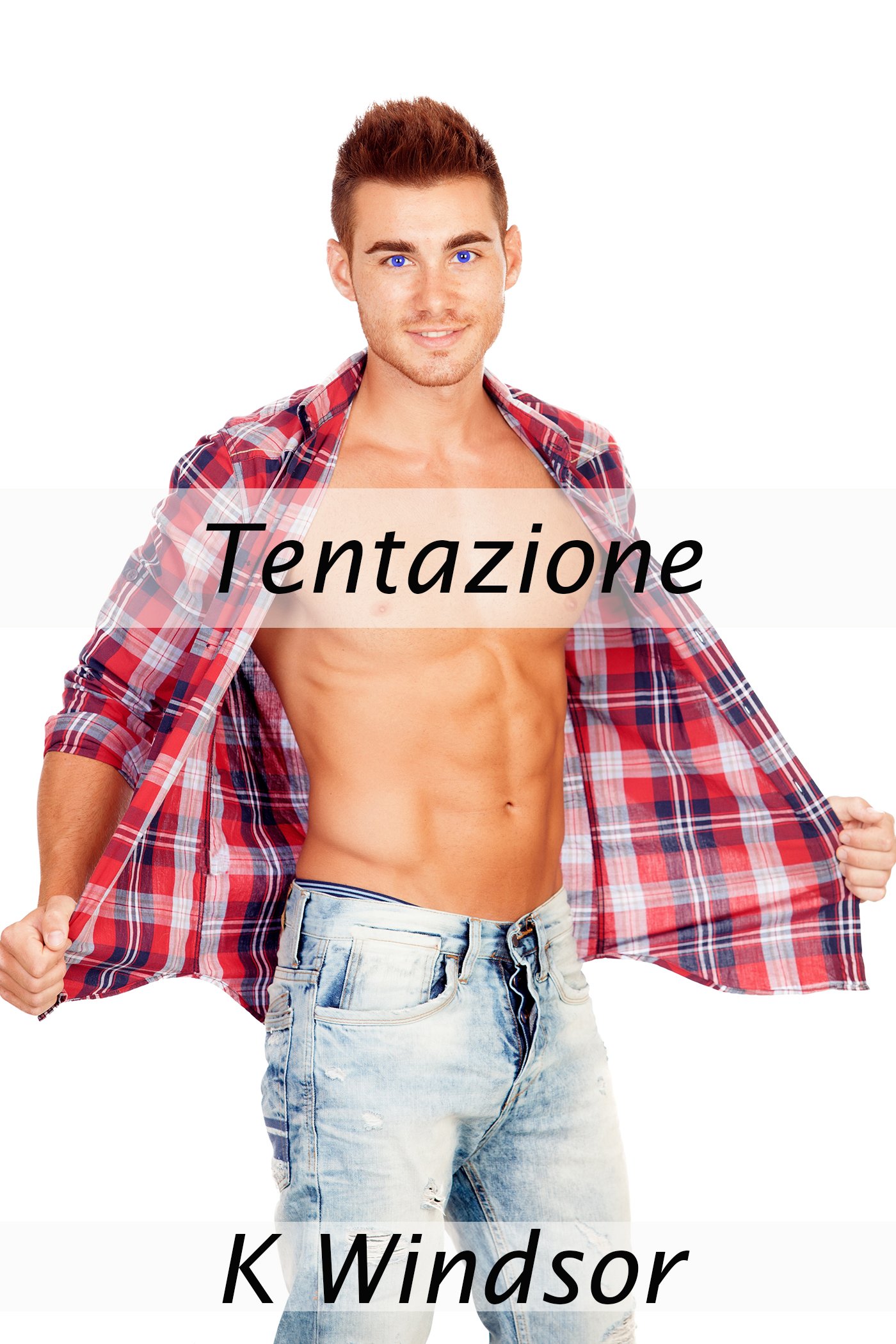 Tentazione: Una Fantasia Erotica Gay (Italian Edition)
