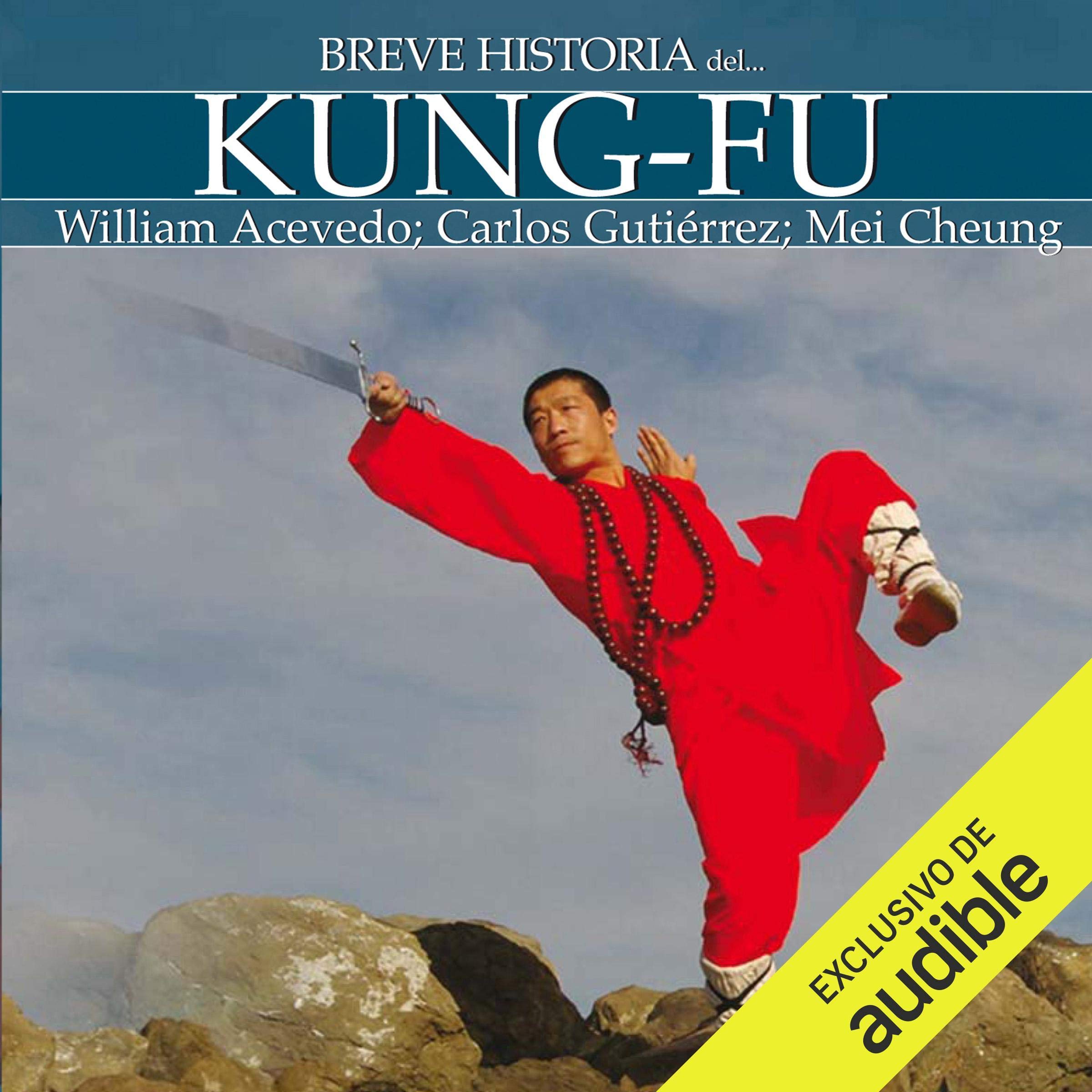 Cover art for Breve historia del Kung-Fu