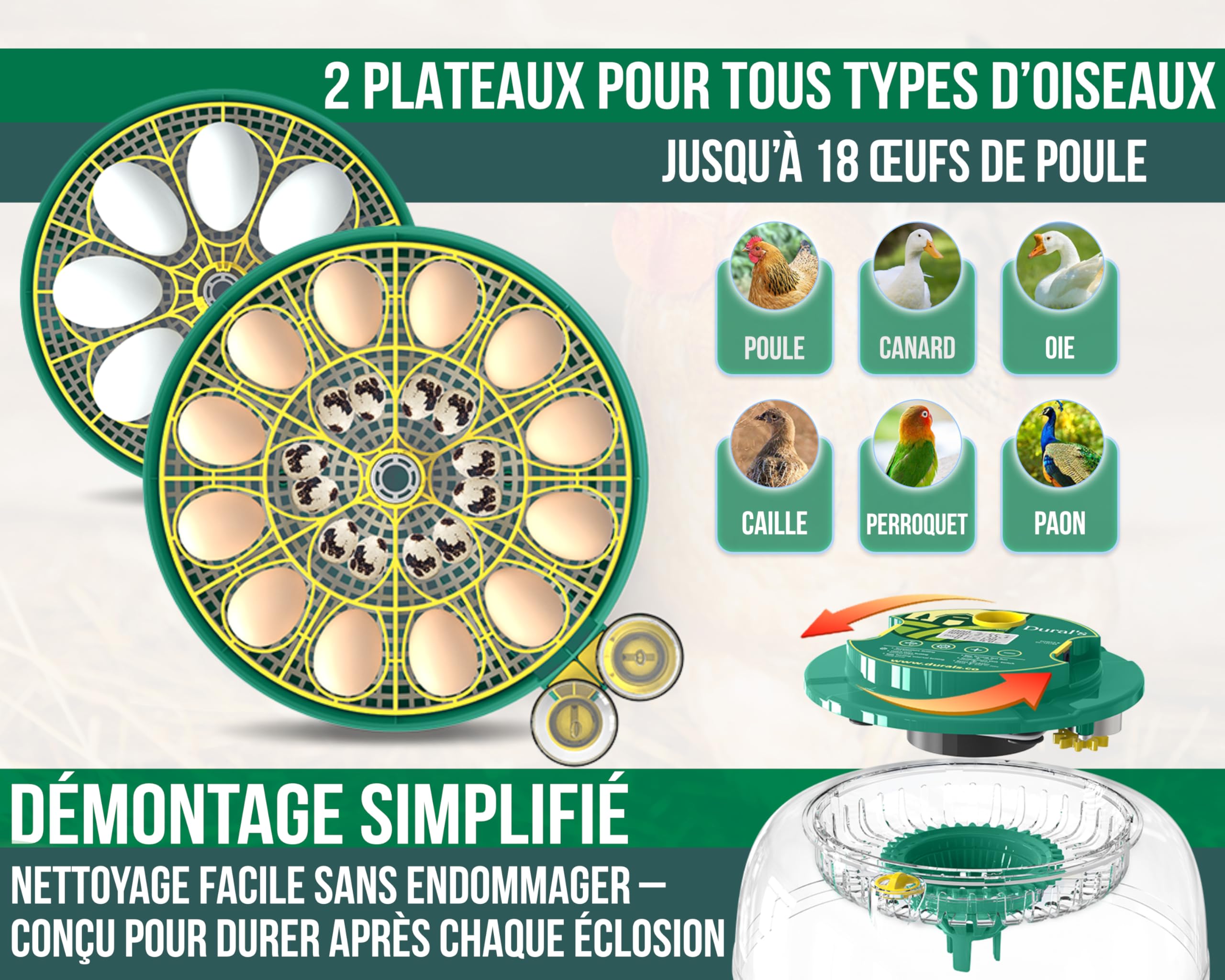 Dural's DX5® | Couveuse œuf automatique | Professionnel & Haute Précison | Certifiée CE | Contrôle de la Température & Humidité | Oeufs de Poule, Caille, Canard | Retournement Œuf automatique (DX5)