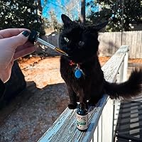 Vista 5 de Hemp Well Aceite calmante para gatos – Ayuda natural calmante para la ansiedad, viajes y estrés – Apoya la relajación, reduce el comportamiento