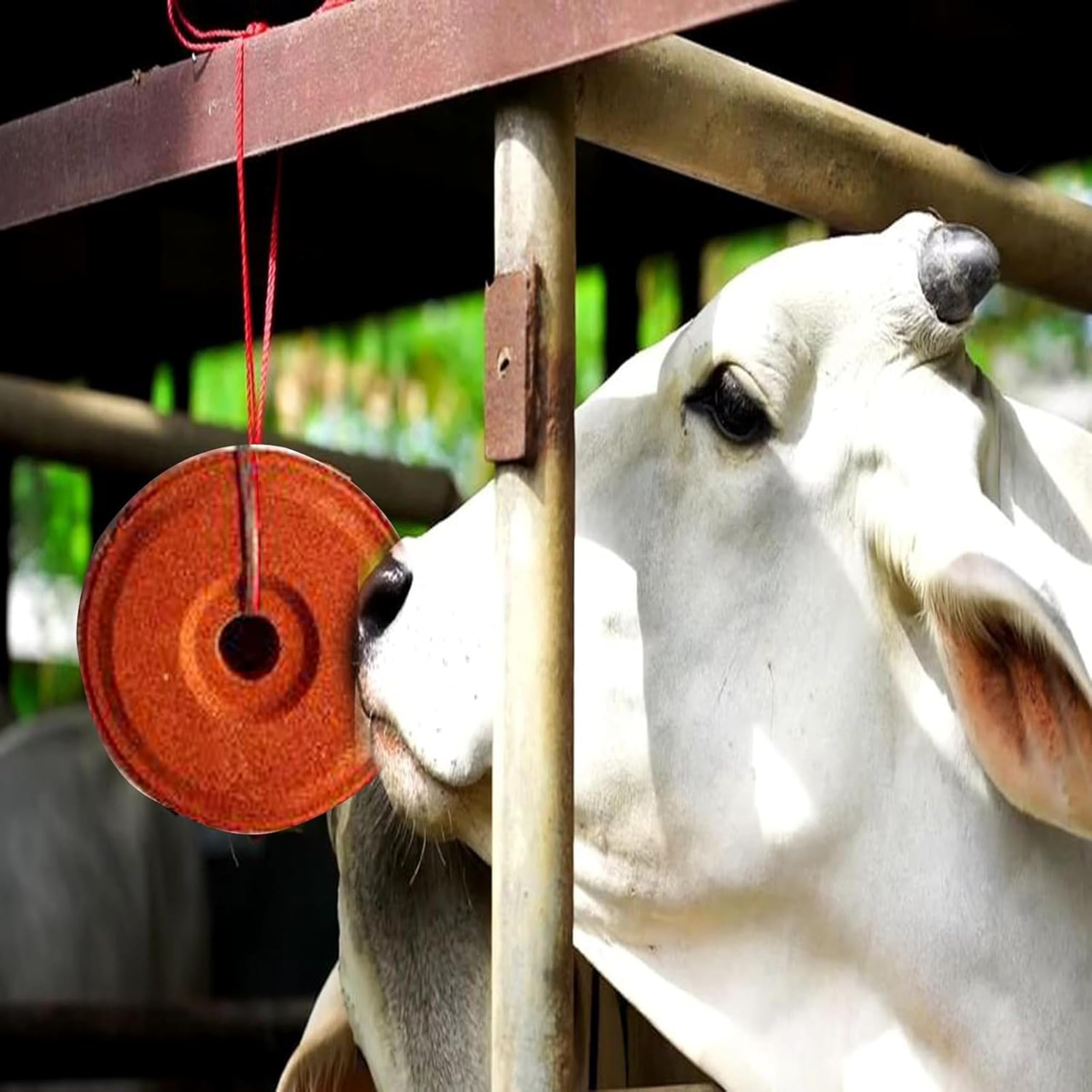 Iagrifarm Mineral Lick Block Pack of - 3 / for Cow, Goat and Sheep - Total 3 Kg 1