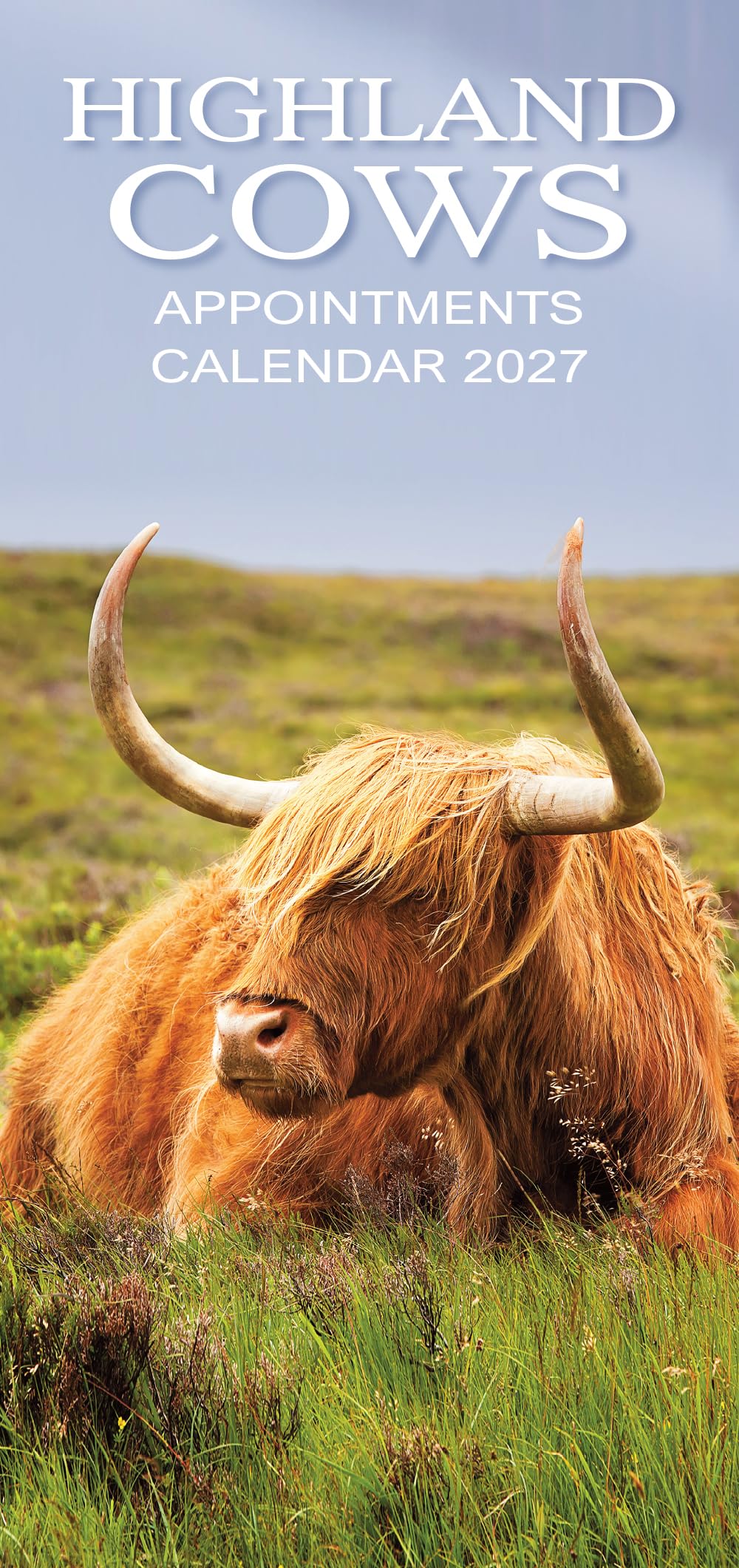 2027 Scotland Calendar: Highland Cows Appointments - Slim Wall Calendar - Hanging Calendar - Month to View - 12 Months - Wiro Bound
