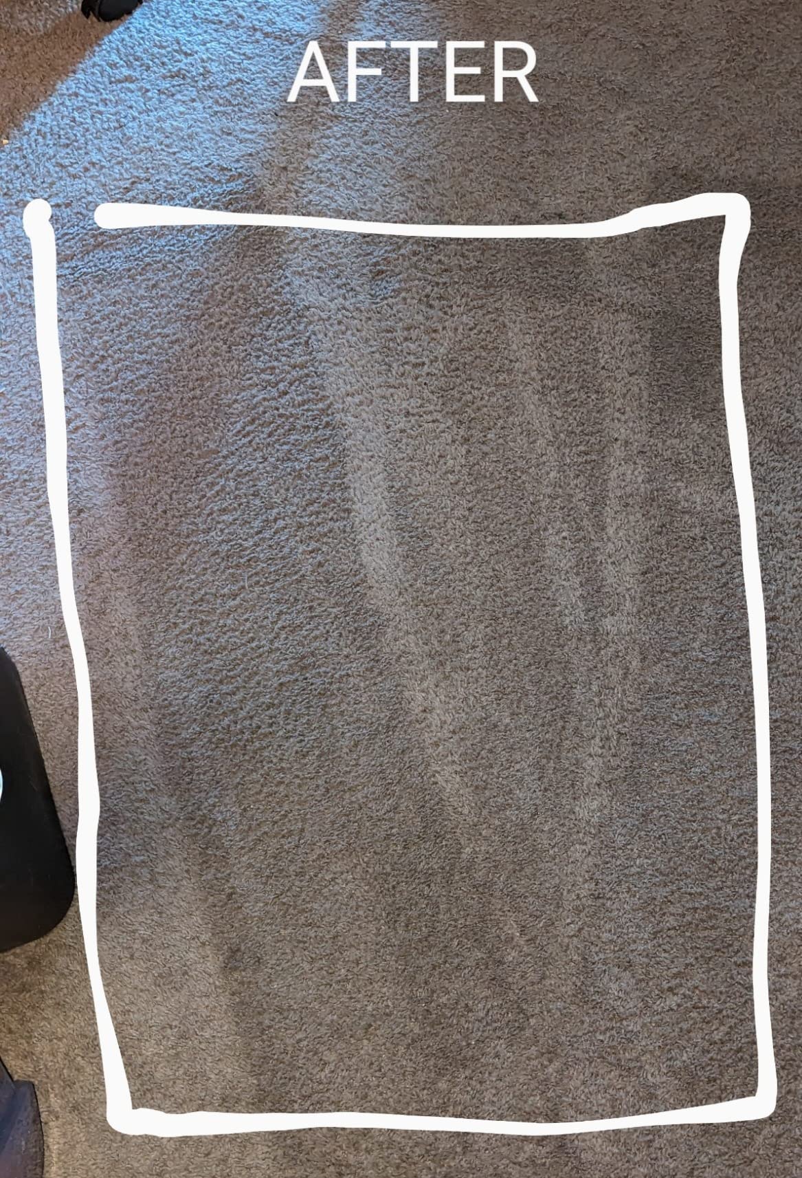 33/mo Finance BISSELL ProHeat 2X Revolution Pet, 35799, Upright Deep Cleaner Buy Now, Pay Later