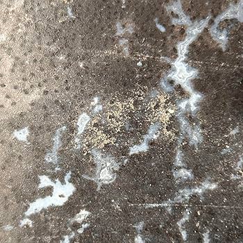 ⭐︎天然石　珪化木　ペトリファイドウッド　スライス Amazon.co.jp: 限定天然石 珪化木 ペトリファイドウッド