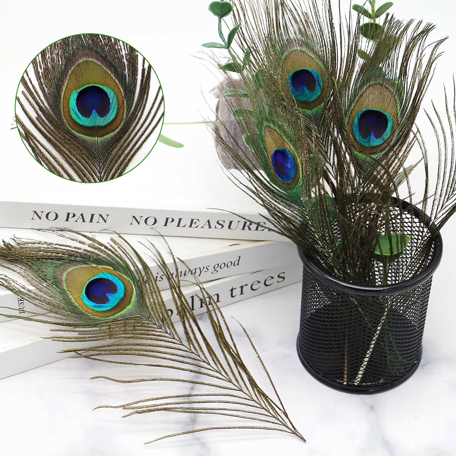 20 Plumes De Paon Naturelles 25-30cm - Décoration Artisanat, Mariage, événements - Couleurs Vibrantes