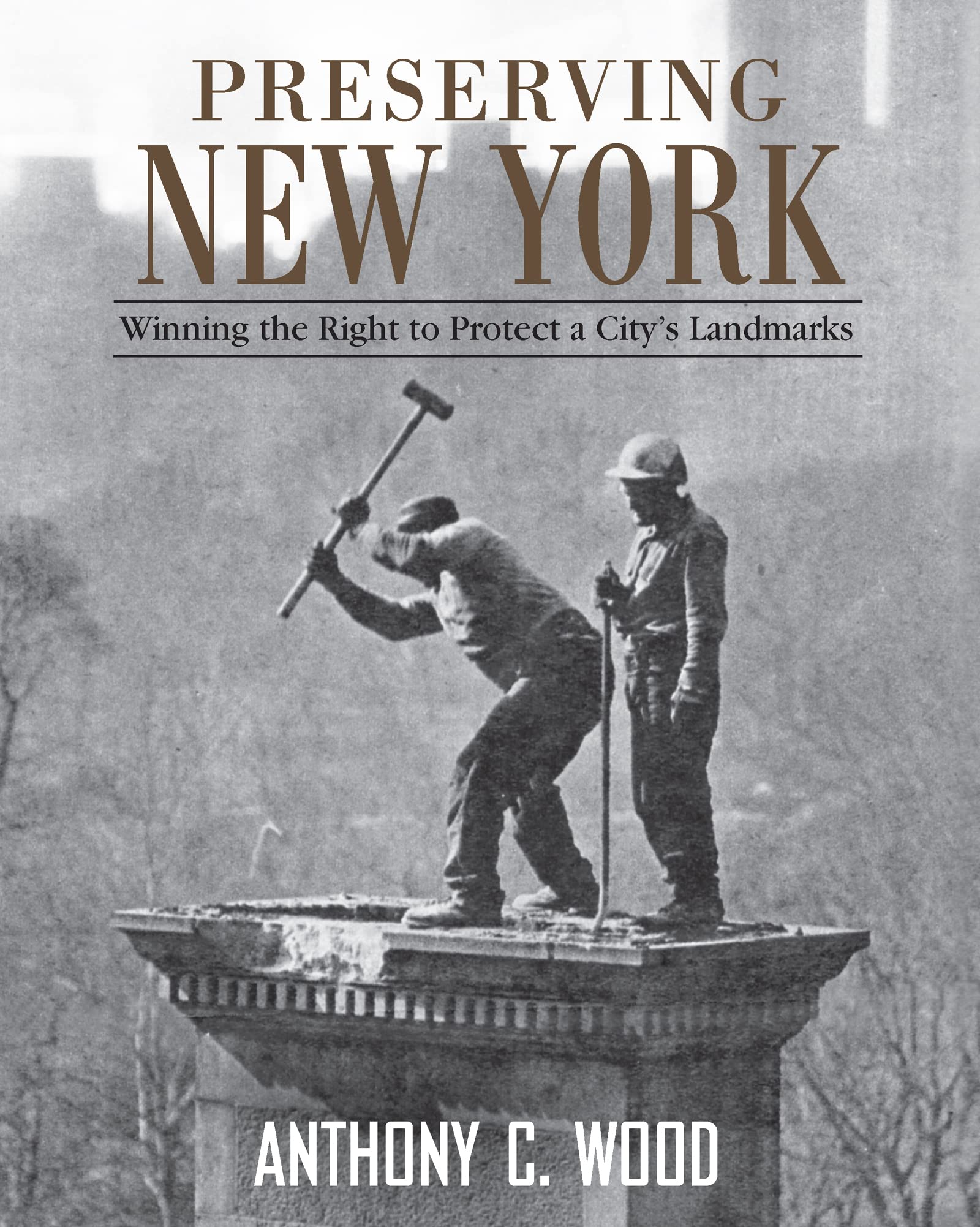 Preserving New York Livre d'histoire de l'art urbain et de la préservation des monuments