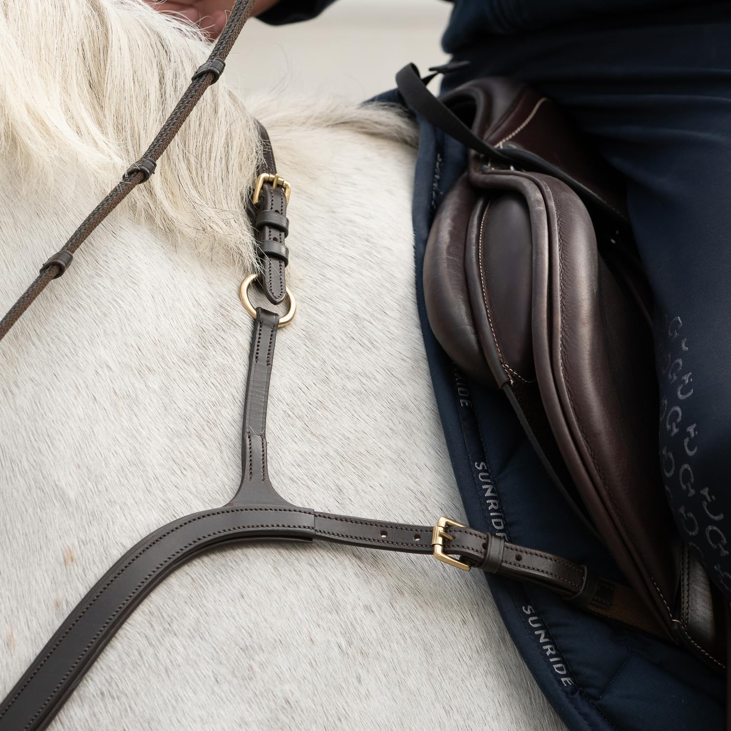 SUNRIDE Pechopetral Ascotde Cuero Genuino con martingala, para Caballos, utilizable como arnés de 5 Puntos y 3 Puntos (COB, marrón)