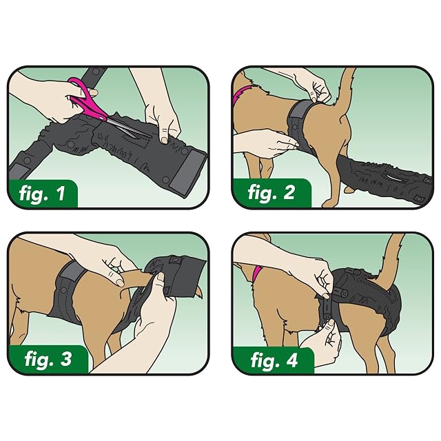 Foto 3 de 7 de Vet's Best Pañal de perro hembra lavable perfect-fit, XXS / XS