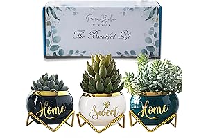 House Warming Gifts for New Home: 3 Succulent Pots for Plant Lovers