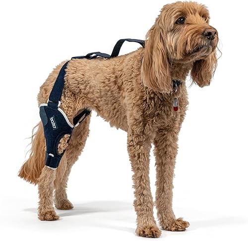 Miniatura 11 de Balto Rodillera ortopédica ACL/CCL para perros - Estabilizador de piernas ajustable para dolor en las articulaciones, recuperación de lesiones