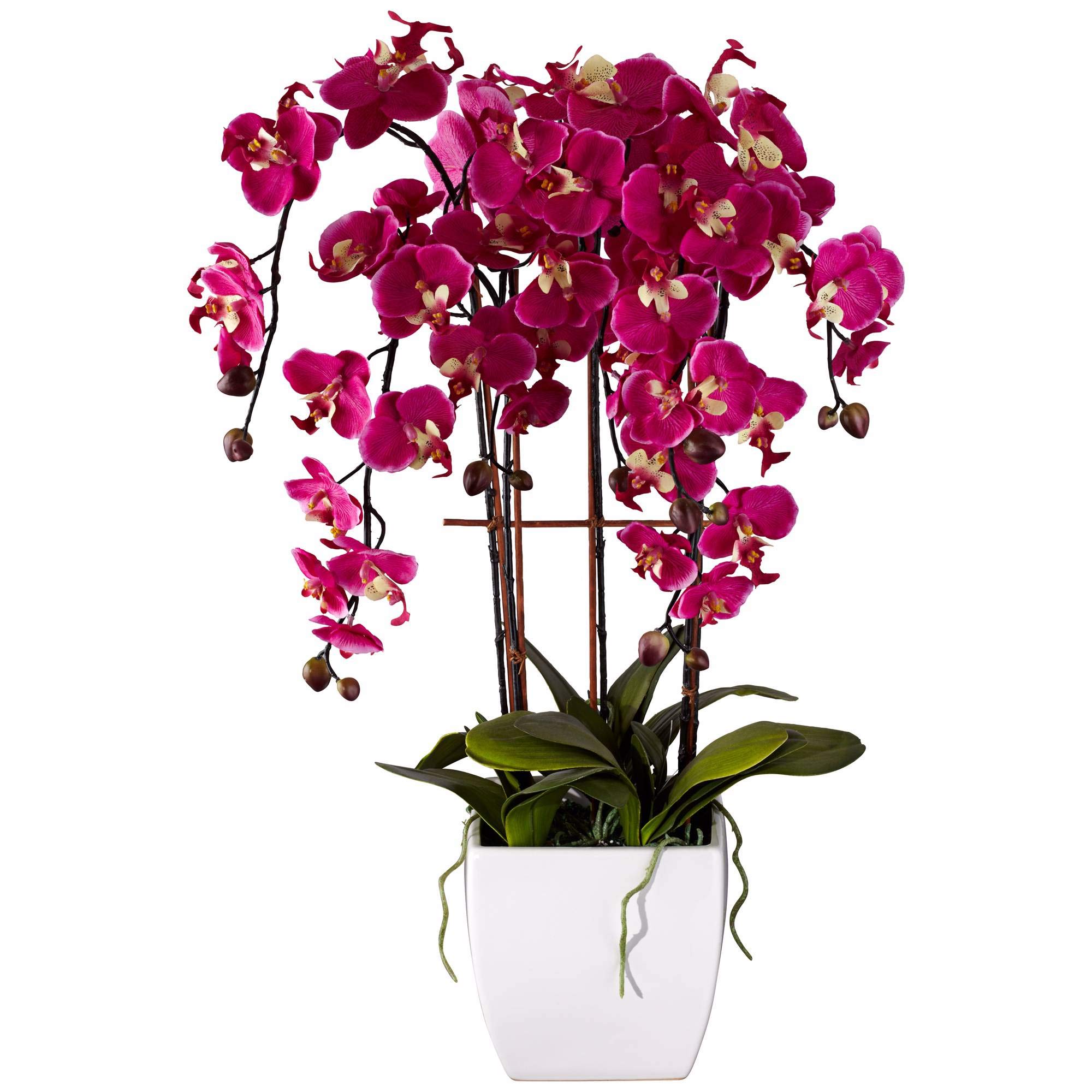 Dahlia Studios Potted Silk Faux Artificial Flowers Arrangements Realistic Purple Fuchsia Orchid in White Ceramic Pot for Home Decoration Living Room Office Bedroom Bathroom Kitchen 29" High