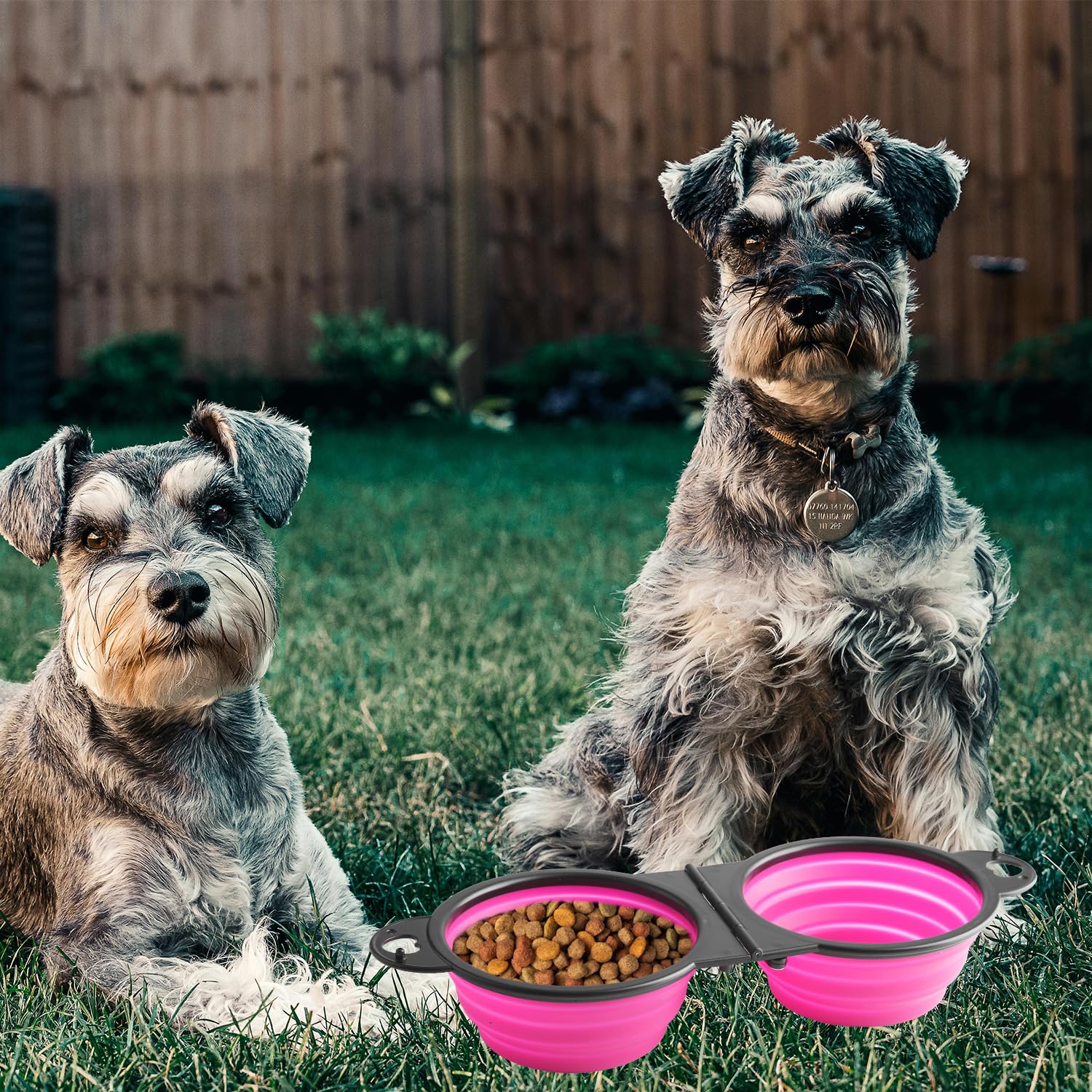 Bojueshaw Collapsible Dog Silicone Bowls,2-in-1 Portable Pet Travel Bowl with Carabiner for Puppy Hiking,Camping,and Outdoor Adventures(Pink) - Image 4