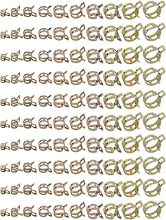 AuInn 100 PCS 6-22MM Spring Hose Clamp Kit, 10 Sizes Fuel Line Spring Clamp Hose Pipe Clamp Fasteners (6mm 8mm 10mm 12mm 14mm 15mm 16mm 18mm 20mm 22mm)