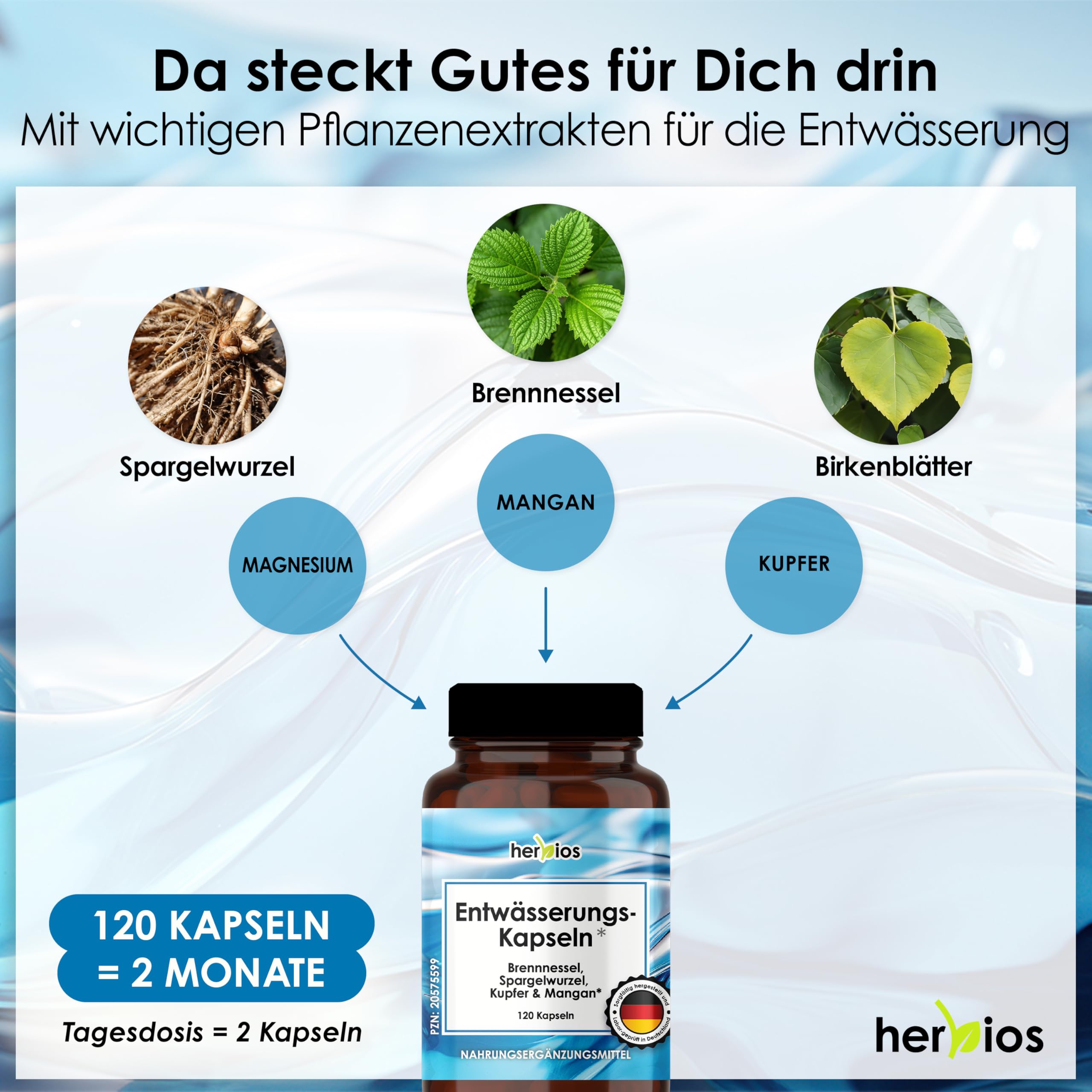 Entwässerungskapseln 120 Stück – 2 Monate Vorrat, Aqua Balance mit Brennnessel, Spargelwurzel & Birkenblättern, Magnesium & Mangan - Laborgeprüft & Vegan, Brennnesselkapseln