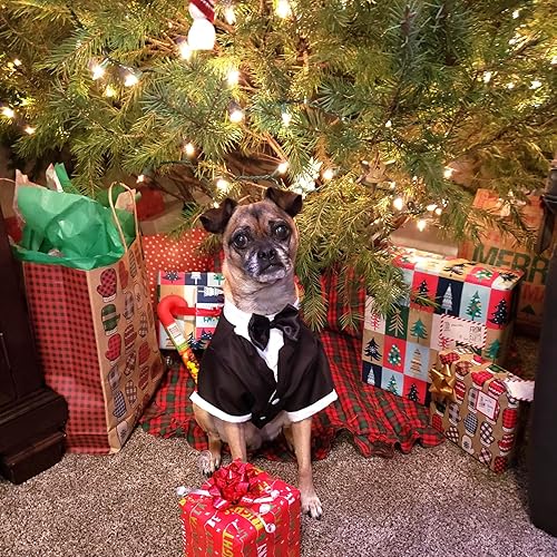 Miniatura 10 de Camisa para perro, ropa para cachorros, traje de boda formal para mascotas, esmoquin con lazo negro, traje de perro para perros pequeños y medianos,