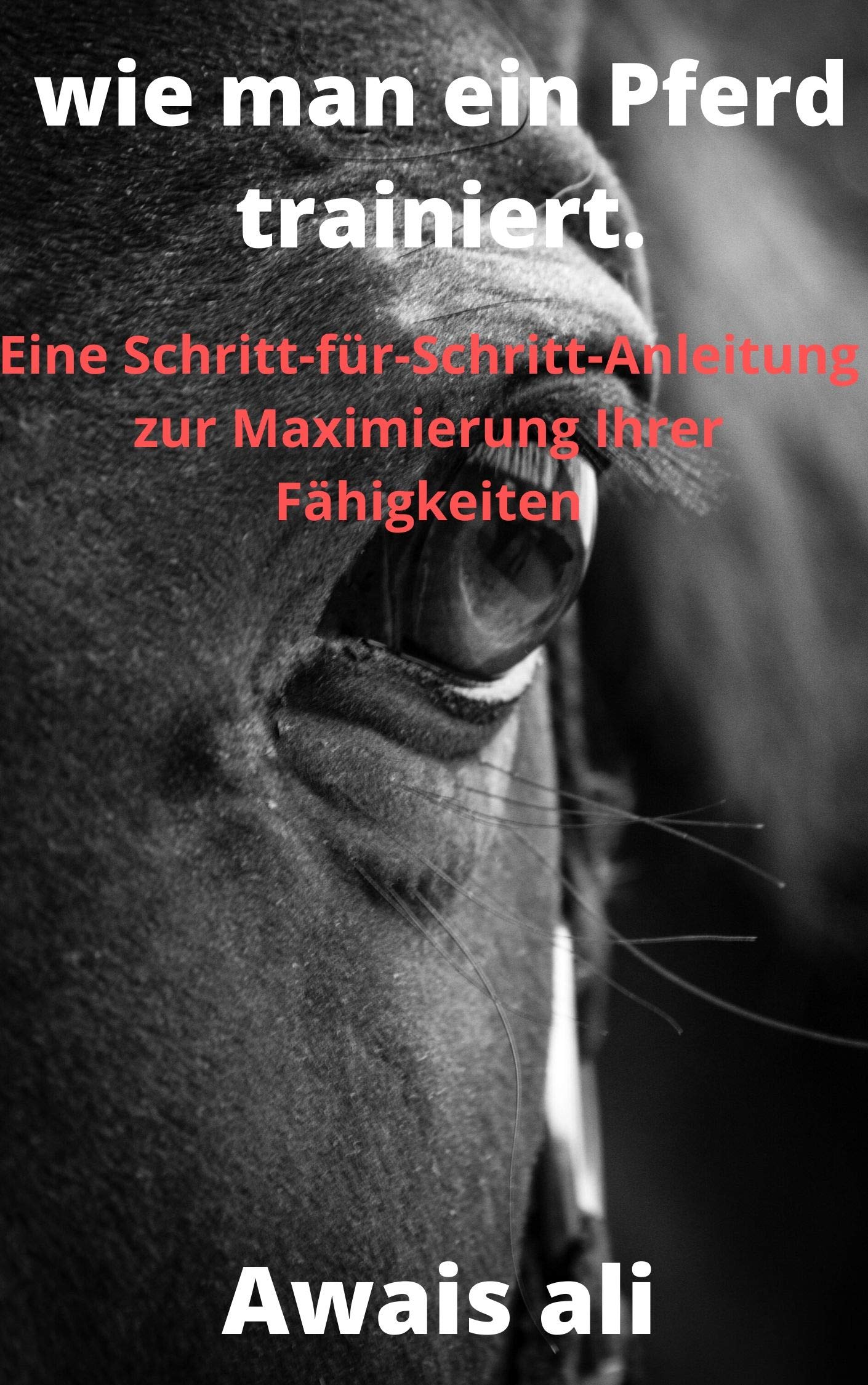 Be Strict Denken Wie Ein Pferd Richtig Ausbilden Konsequent Korrigieren Buy Wie man ein Pferd trainiert: Das grundlegende Handbuch, um zu