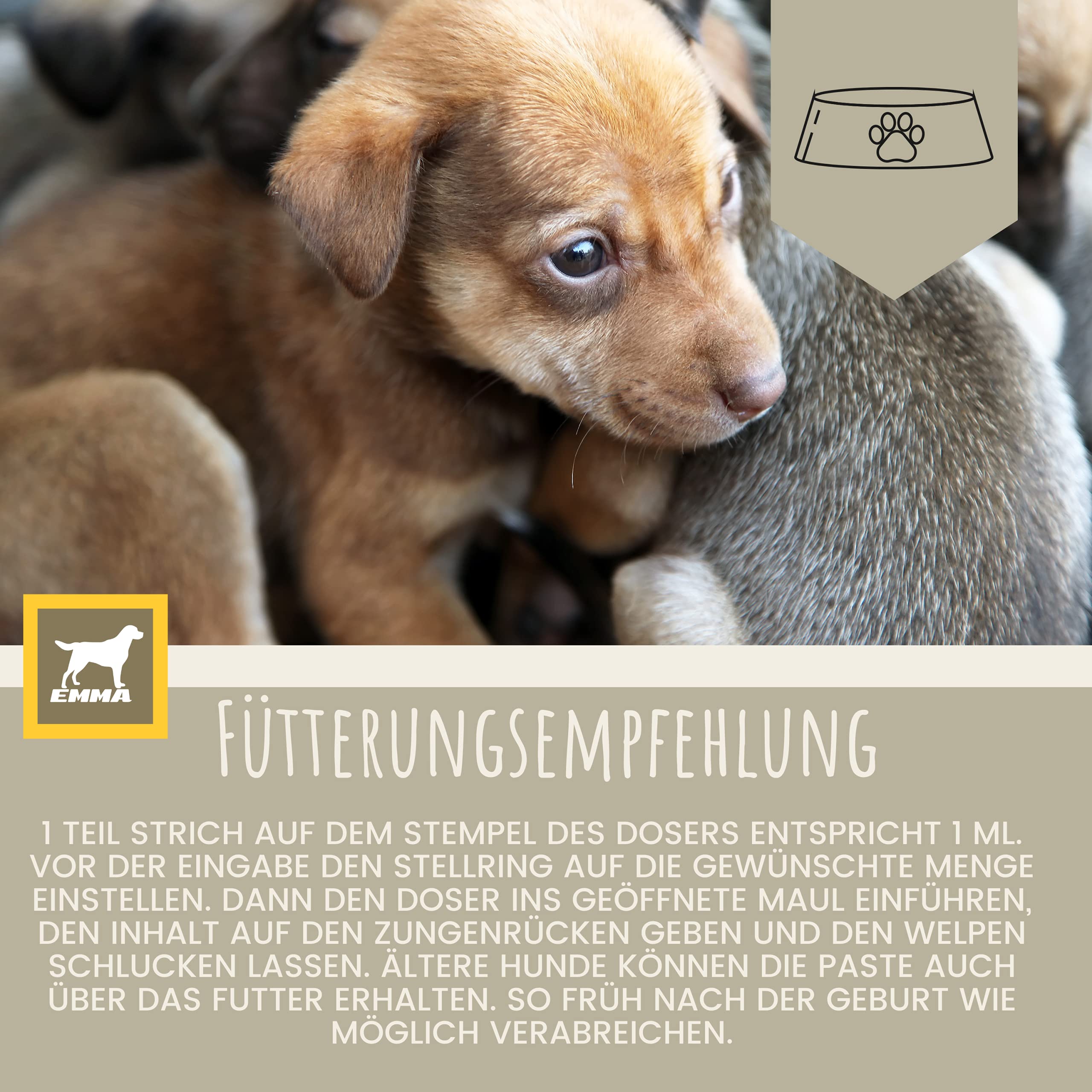 Vitamines pour Chien 0,1ml + Pâte 15ml Complexe de vitamines B Chiens Vitamines B + Vitamine A C D Calcium Renforce la vitalité Multivitamines & Minéraux Soutient Le Système Immunitaire Peau Pelage