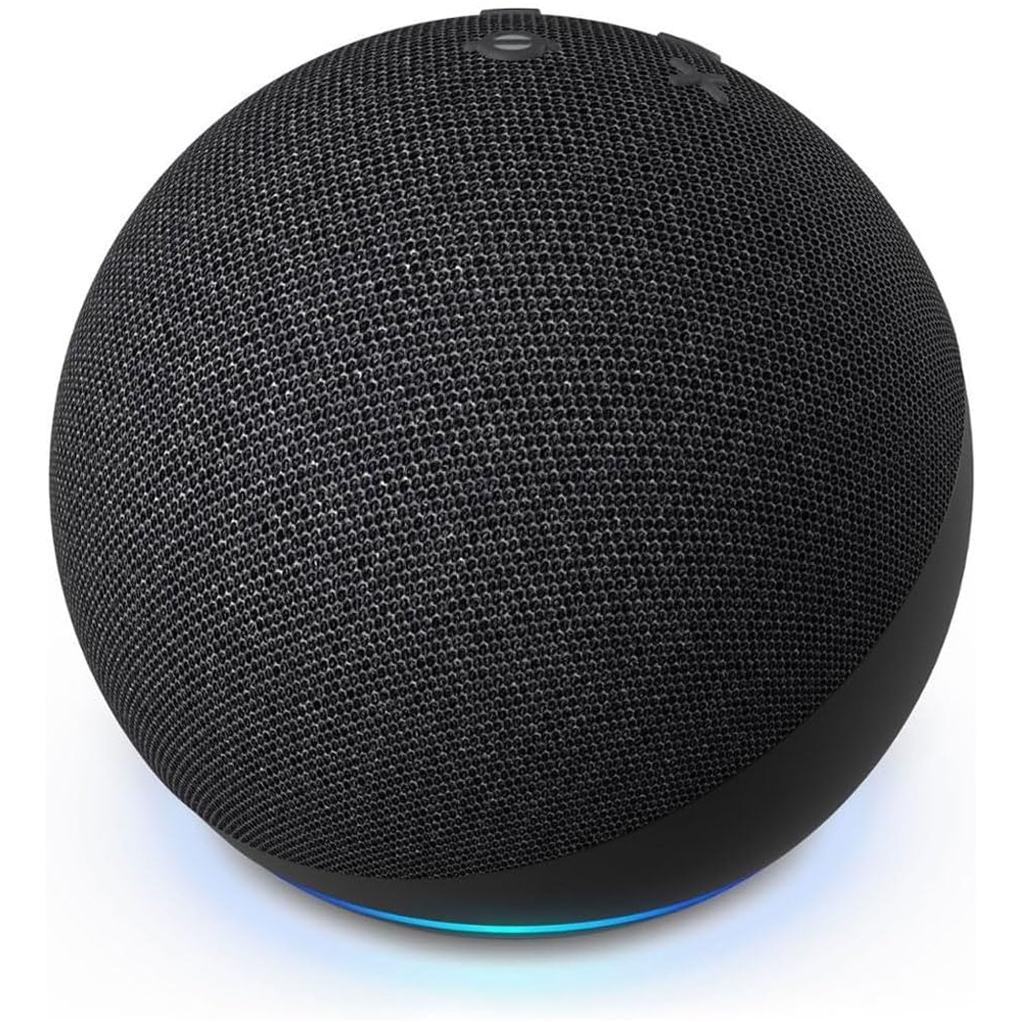 Echo Dot (5ª generazione) | Antracite + TP-Link Tapo Presa intelligente, compatibile con Alexa - Kit di base per Casa Intelligente