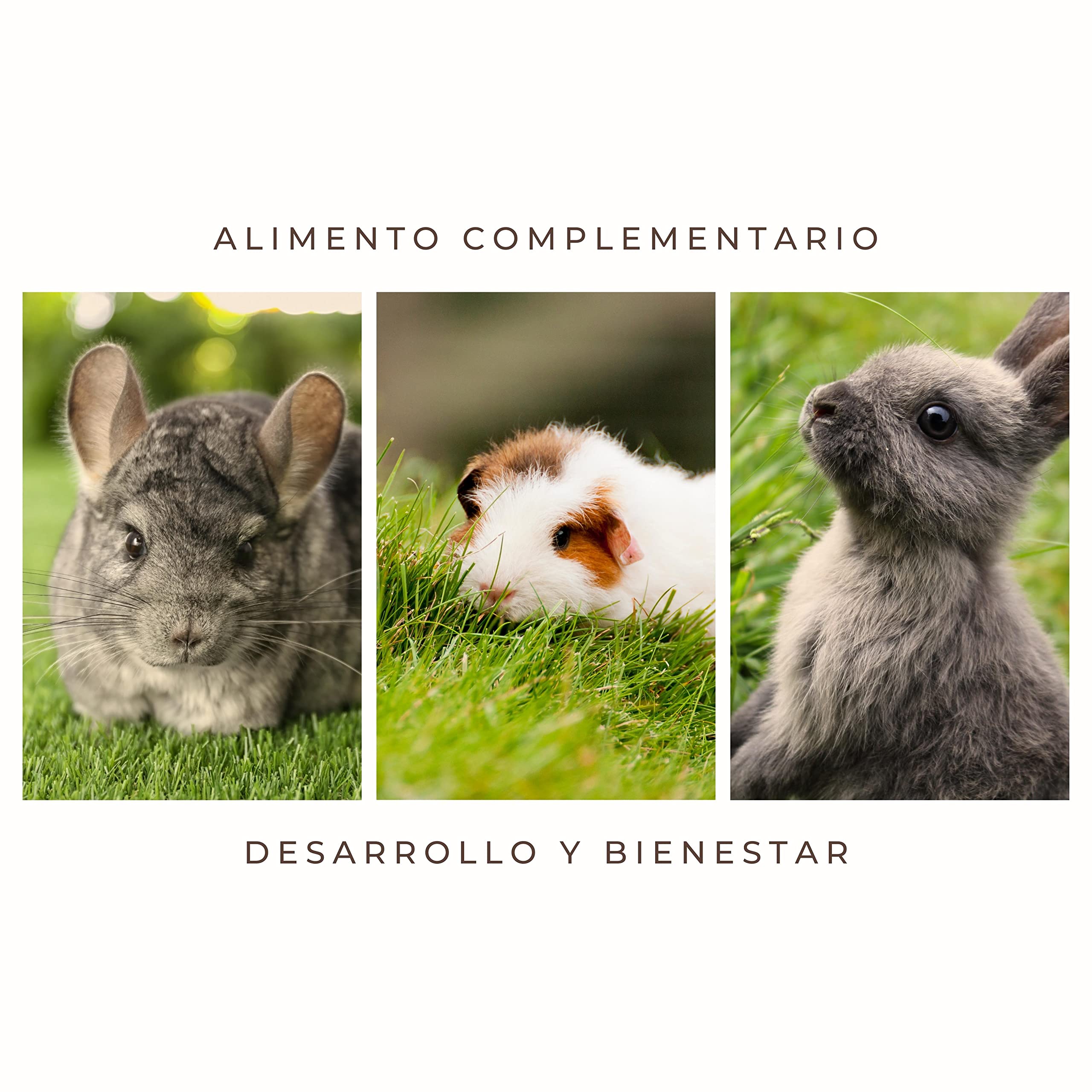 FINCA CASAREJO Snack Natural para Conejos, cobayas y Chinchillas - Ensalada de Frutas secas para alimentación de roedores (2 Unidades = 600 Gramos)