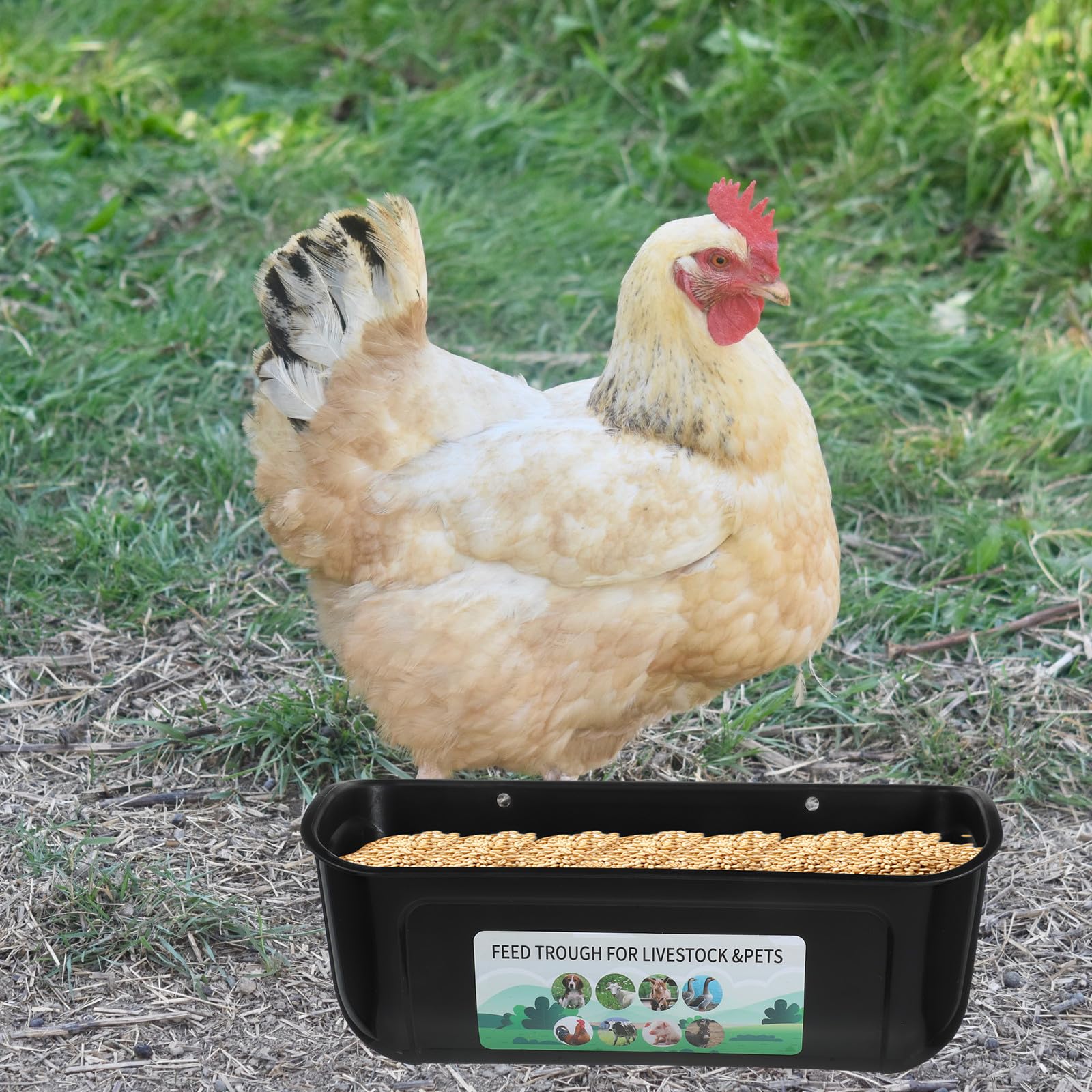 Comedero Automático para Aves de Corral Grande de 2 Piezas, Contenedor Colgante Negro de Alta Capacidad, Comedero Anticaída para Gallinas, Patos y Cabras, Abrevadero Resistente