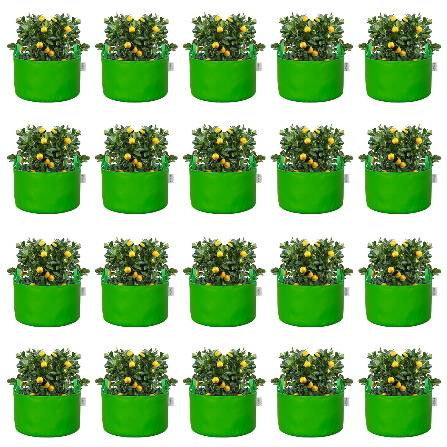 Oriley Grow Bags - Durable Plant Containers -16 Oriley Grow Bags - Durable Plant Containers -16