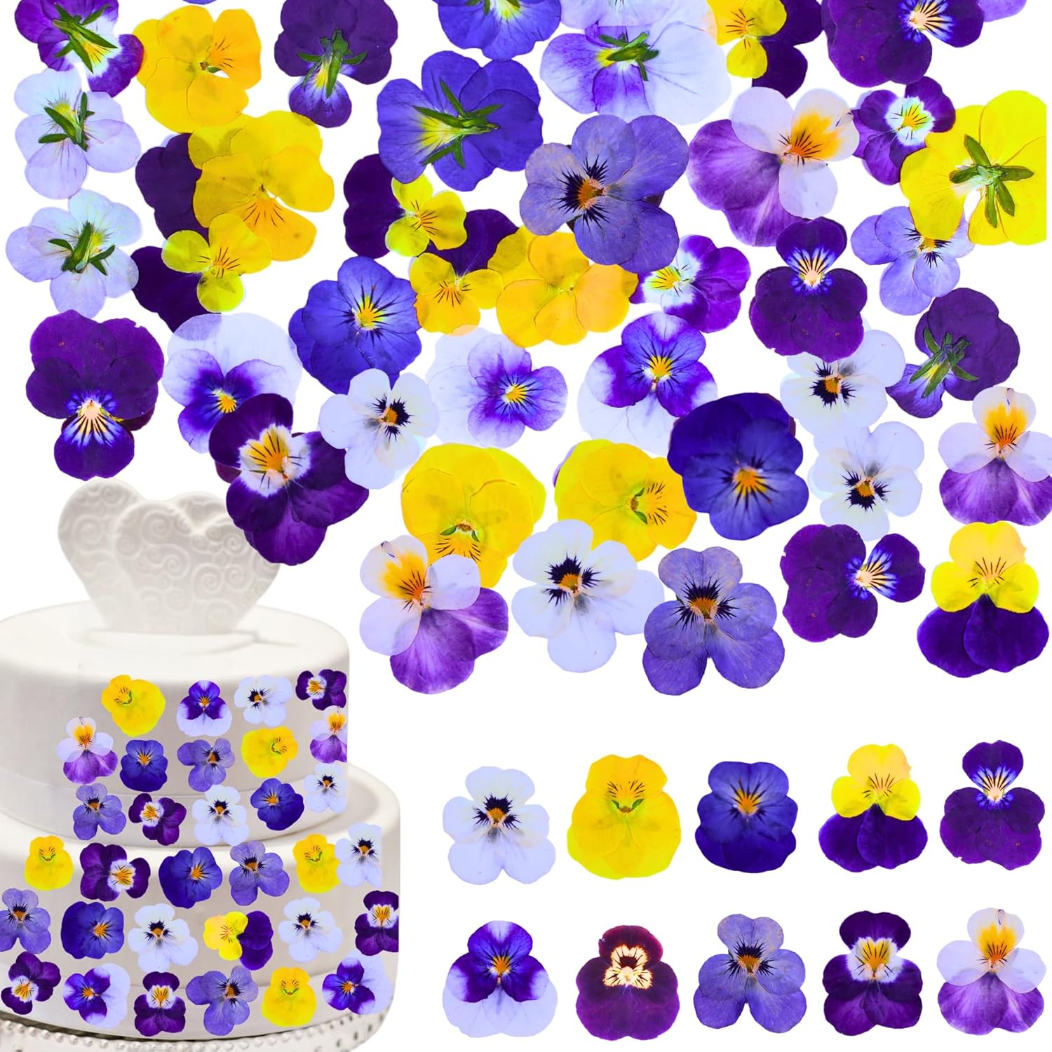 PureHabitat 60 Piezas Flores Violetas Secas Prensadas Comestibles