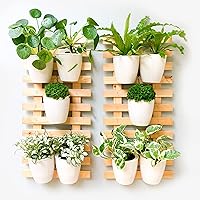 Vista 1 de ShopLaLa Wooden Wall Planter - 2 Pack Wall Hanging Planters for Indoor Plants Ladder Wall Mount Natural Wood Holder Flower Pots Vertical Living