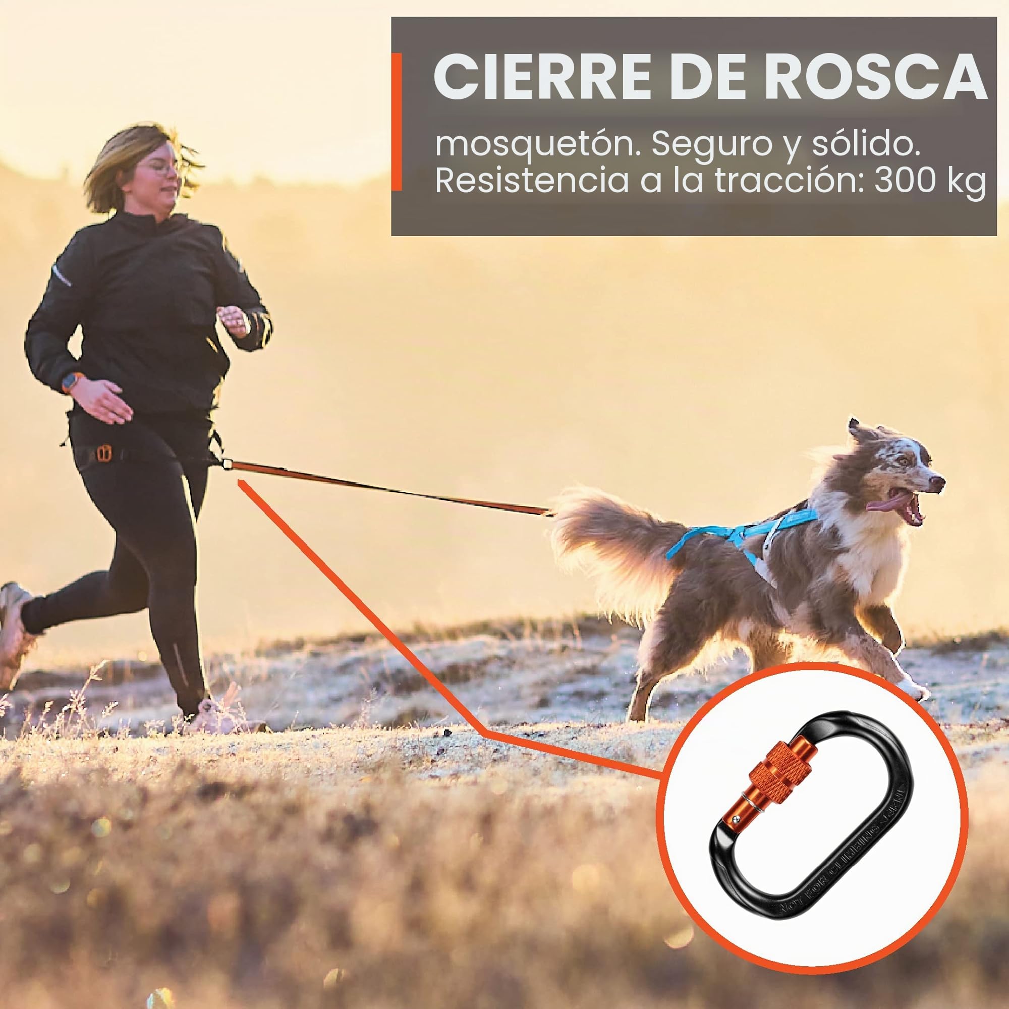 Non-Stop Dogwear Cinturón Canix para Perros | 123X | Máxima Seguridad – Peso Mínimo | Talla M | Canicross
