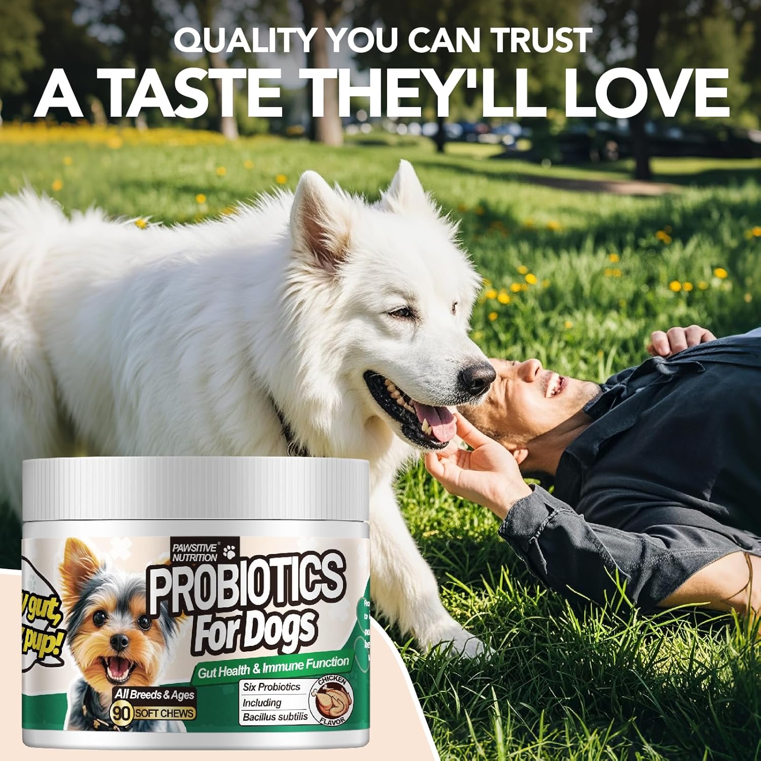 Probiotic Supplement for All Dogs, Support Digestive & Immune Health, Nutritional Supplement for Dogs, Chicken Flavor,270 Chews
