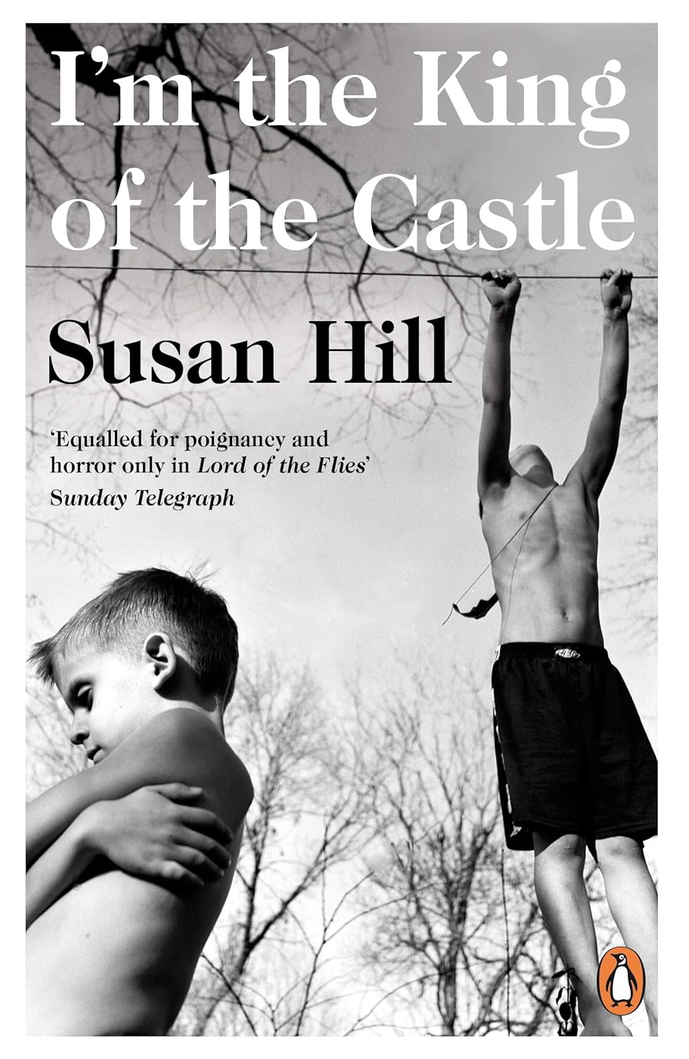 I'm the King of the Castle Amazon.co.uk Hill, Susan 9780140034912 Books I'm the King of the Castle Amazon.co.uk Hill, Susan 9780140034912 Books