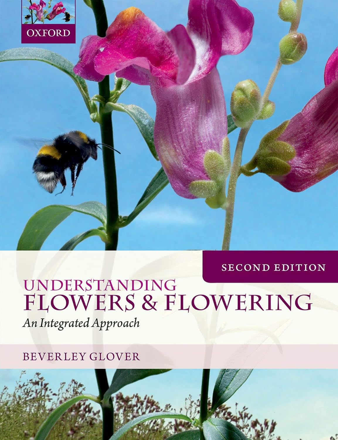 Understanding Flowers and Flowering Second Edition: An Integrated Approach
