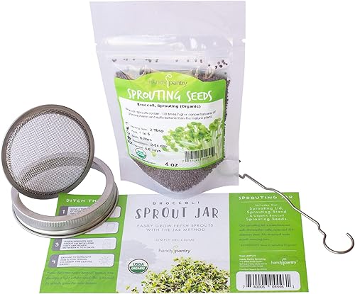 Kit de cultivo de brotes de brócoli orgánico – Incluye tapa de acero inoxidable 316, soporte y semillas sin OMG – Kit completo de Handy Pantry &