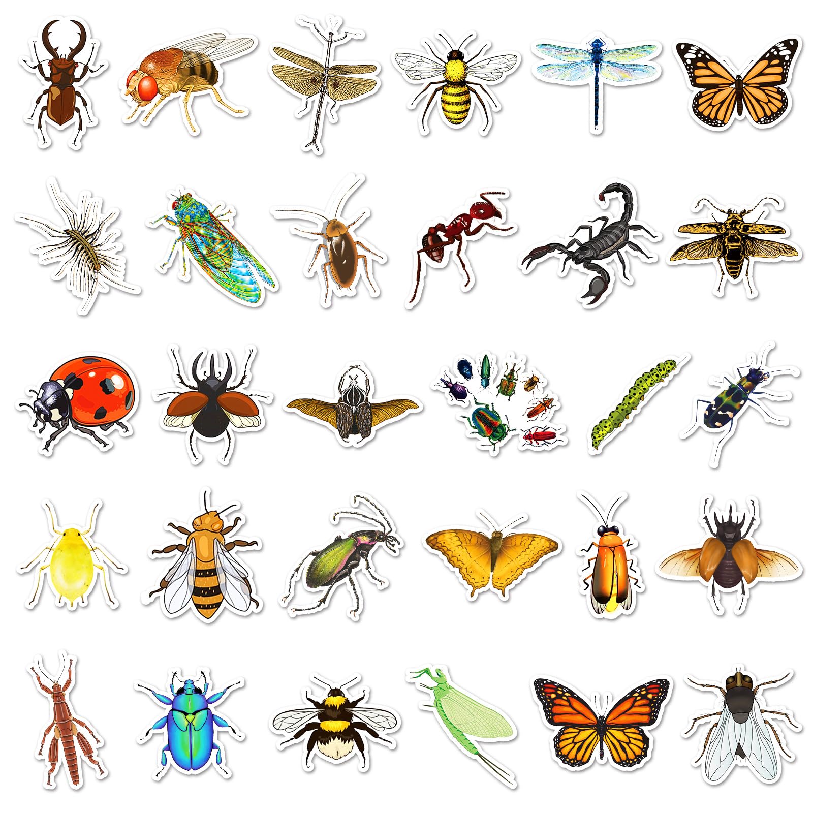 100PCS Insect Stickers for Boys Teens Kids Adults,Colorful Bug Animal Waterproof Decals for Water Bottles Mobile Phone Skateboard Guitar Laptop Luggage Helmet Refrigerator Phone Computer - Image 4