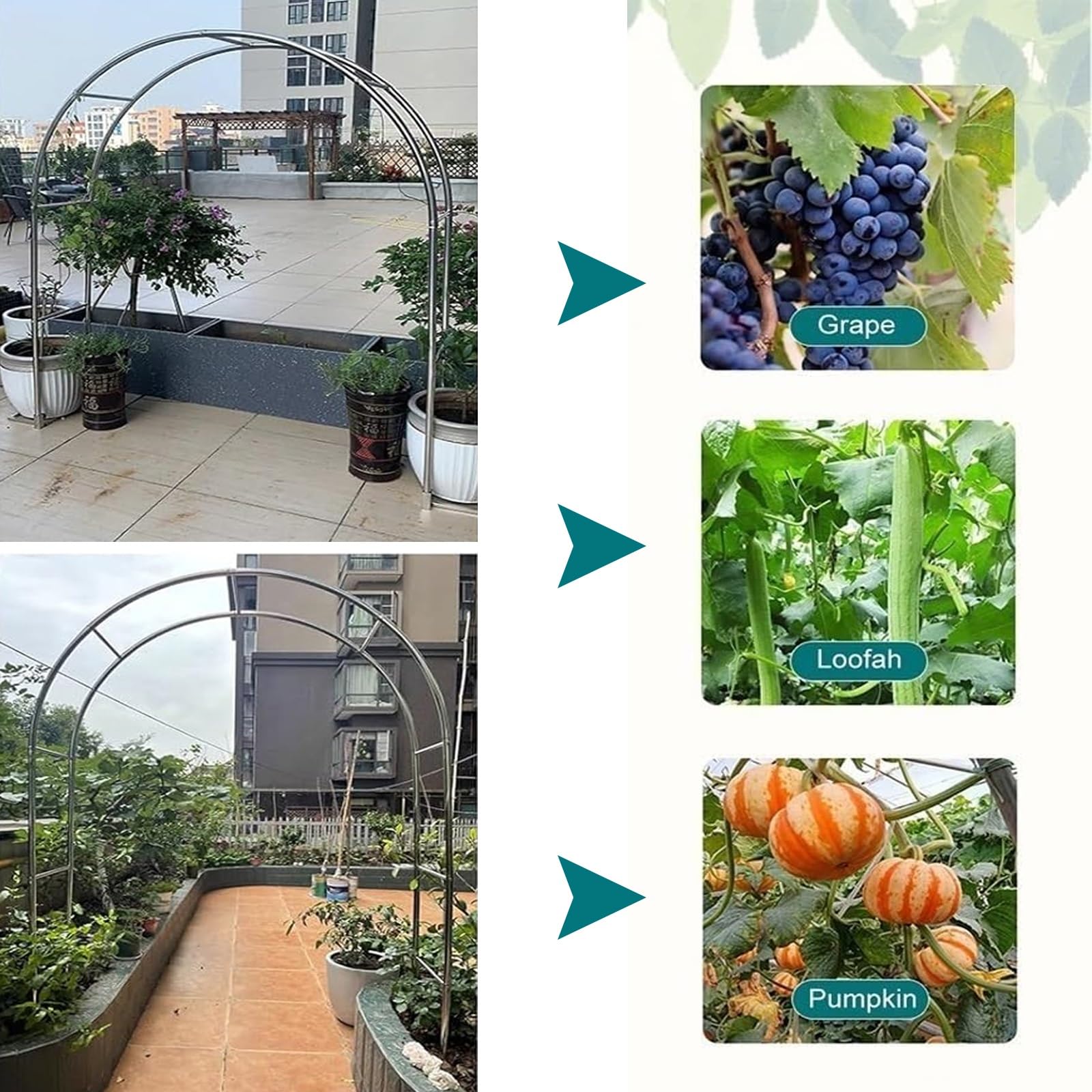 Rankgitter für den Garten, robust, rostfreier Edelstahl, für Kletterpflanzen, Rosen, Reben, Innen- und Außenbereich, Hochzeitsdekoration