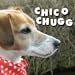 Chico Chugg picture mix up