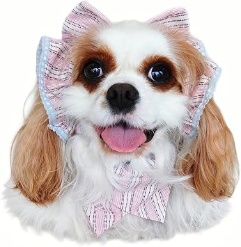 Soft Cotton Dog Headband for Cocker Spaniel, Cavalier, Springer - Adjustable Bow Pet Hair Accessory (Dog Bow Beige)