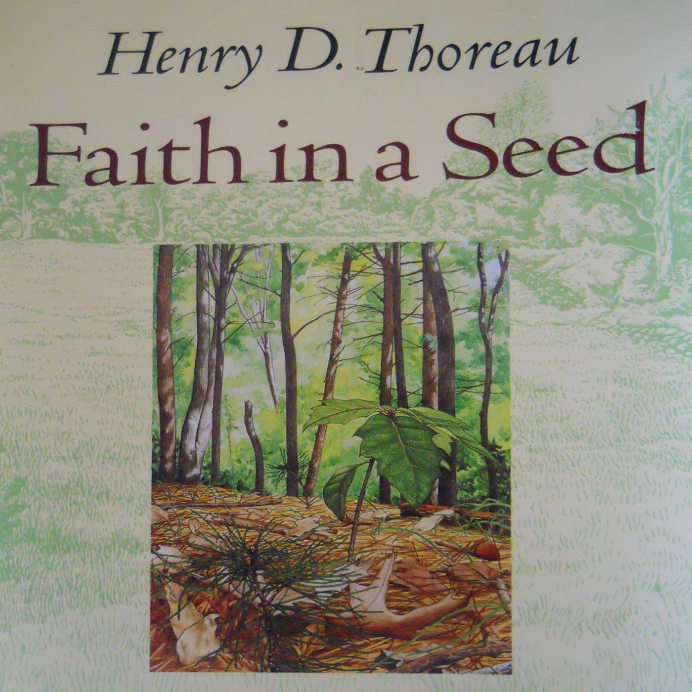 Cover art for Faith in a Seed