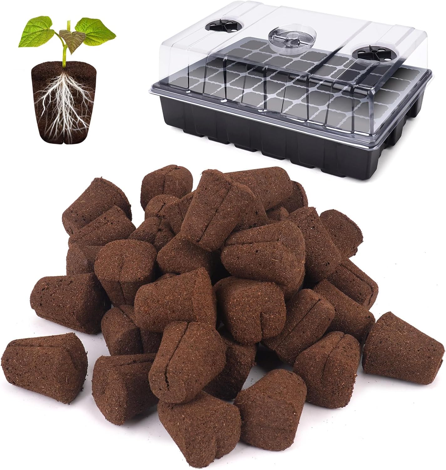 40 Pcs Grow Sponges with Tray, Starter Plugs for Cuttings, Great for Soil, Tray or Planting Pods Plant Rooter, Promotes Herbs, Vegetables and Flowers Growth