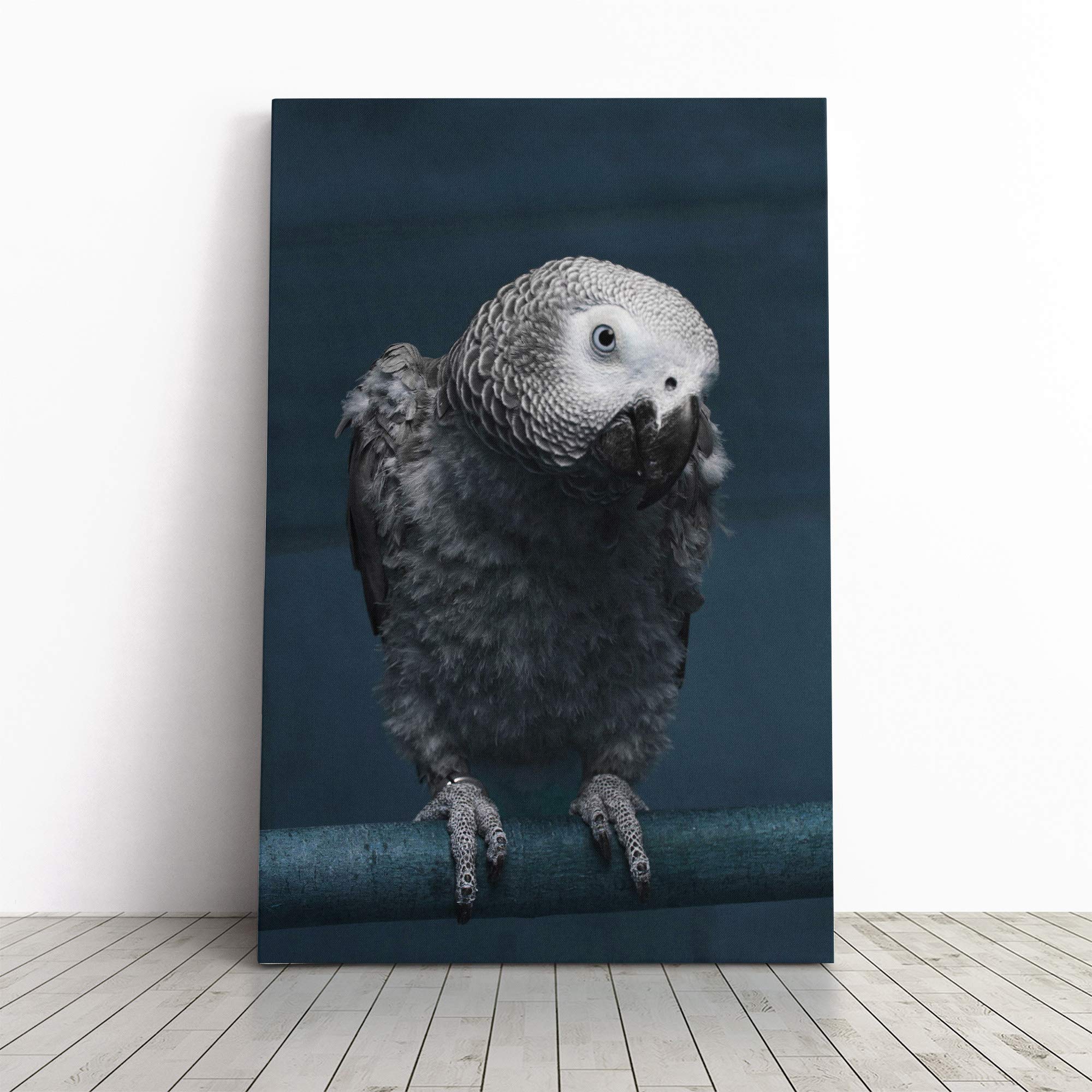 African Grey Parrot Canvas Print | Gallery Wrapped 30mm Frame Wall Art | 30x20 inches | Ready to Hang | Modern Animals Picture | Living Room Bedroom Lounge Office