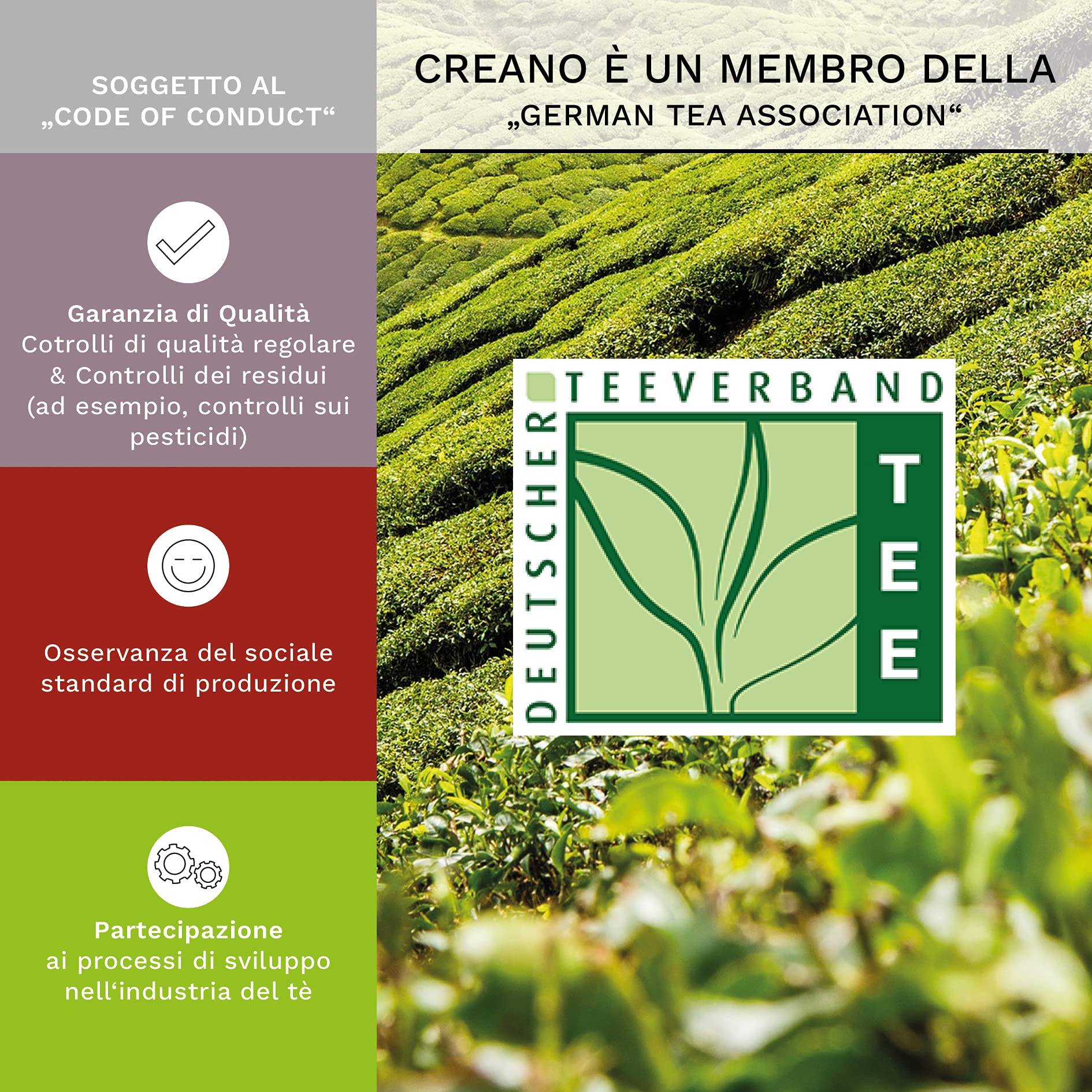 Creano Set Regalo Fiori di Tè Bianco, Verde, Nero in Scatola di Legno | 12 Tè Fiorito con 11 Varietà Diverse | Idea Regalo Elegante per Occasioni Speciali Natale Compleanno