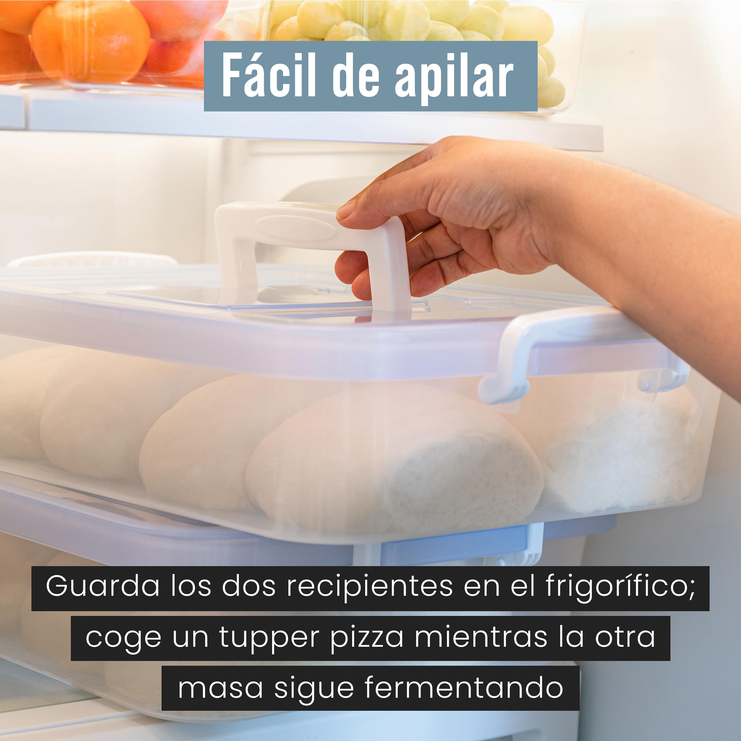 Chef Pomodoro Caja con Tapa para Fermentar Bolas de Masa de Pizza, Contenedor Plástico, Caja Transparente con Práctica Asa de Transporte (Azul, 44 x 34 cm (Paquete de 2))