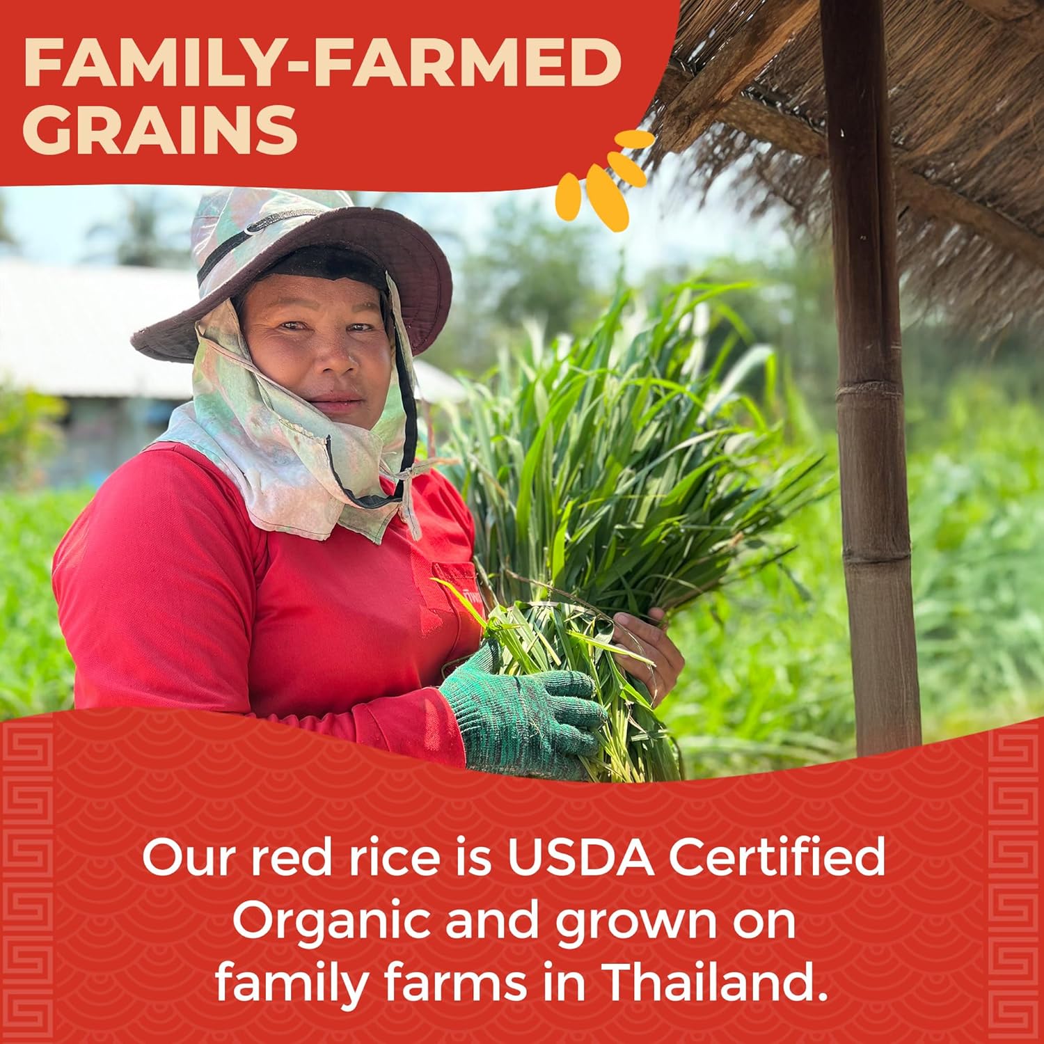 Lotus Foods Organic Red Rice - Red Rice Organic, Rice Red, Whole Grain Rice, Long Grain Asian Sticky Rice, USDA Organic, Non-GMO, Gluten Free - 15 Oz Bag (Pack of 6)