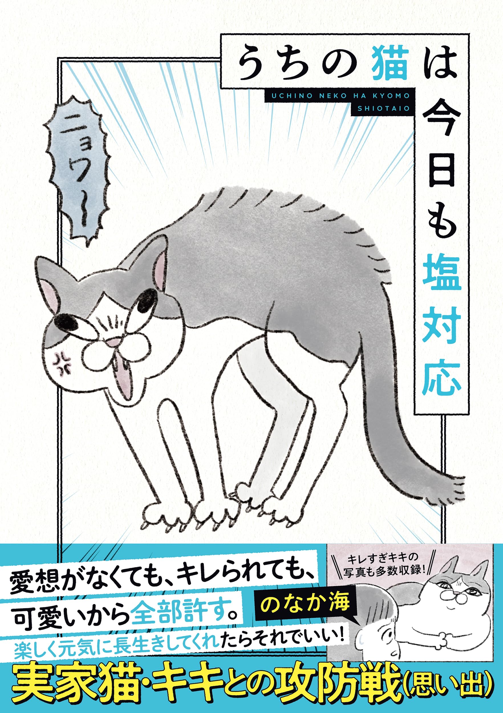 Amazon.co.jp: うちの猫は今日も塩対応 : のなか海: 本