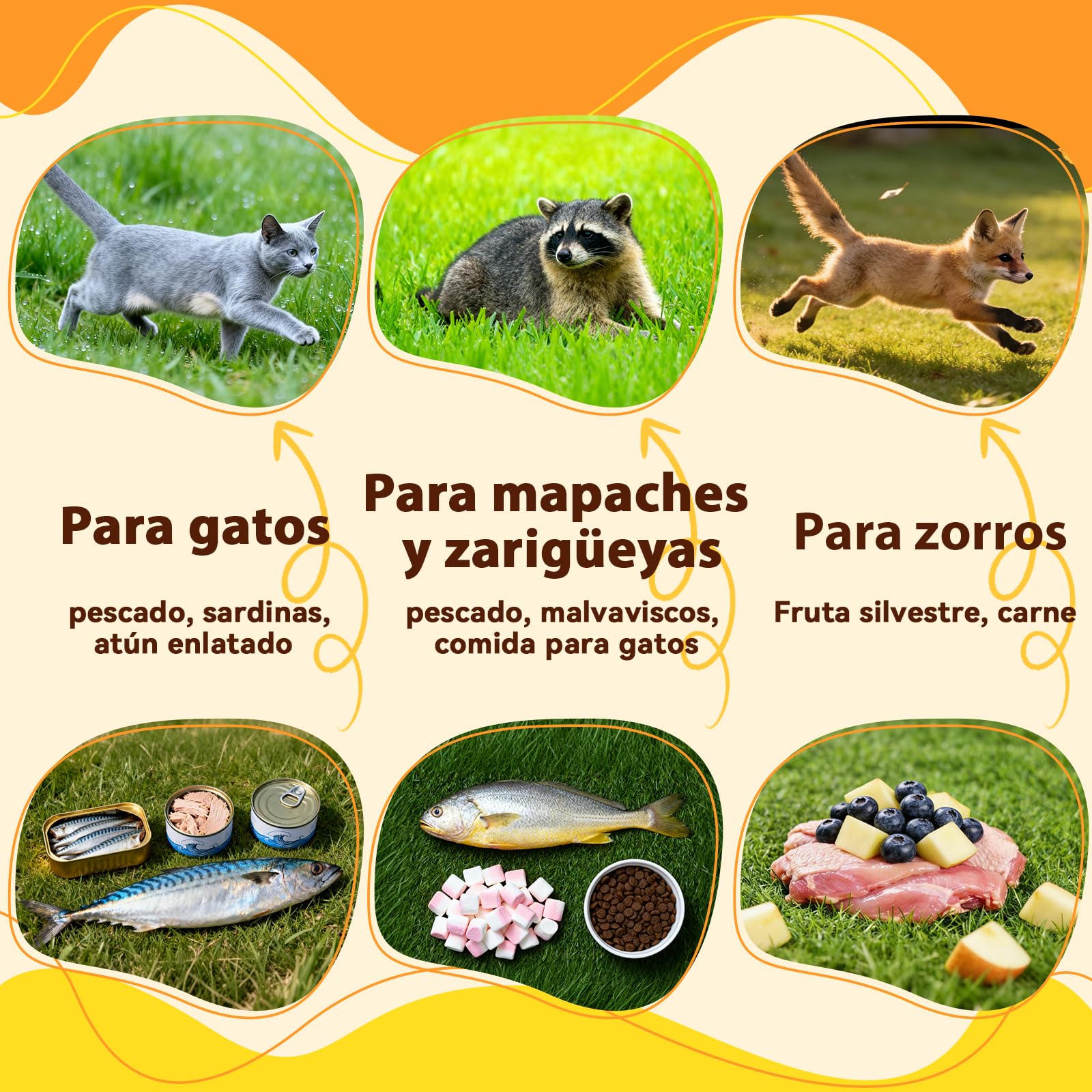 Jaula Plegable para la Captura de Animales 95×31×36 cm | Jaulas para la captura de animales vivos, aptas para mapaches, gatos callejeros, cachorros de coyote y cachorros de zorro